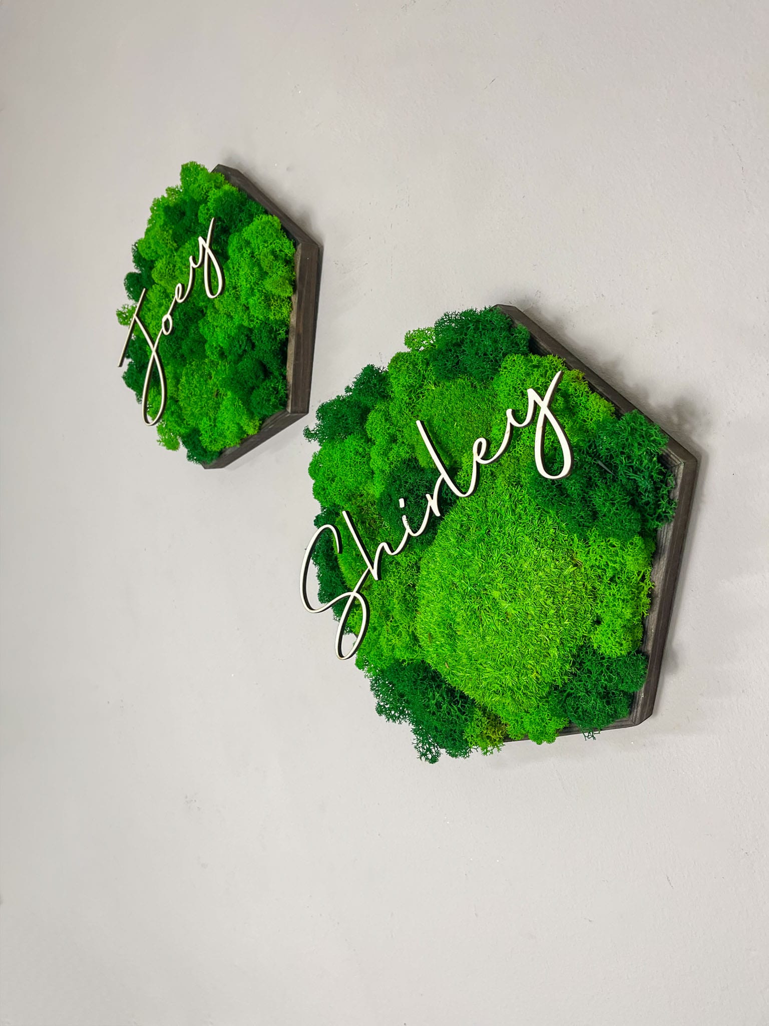 Moosbild Moos Moosbilder Rahmen Sechseck Wabe Hexagon personalisiert Geschenk einzigartig Unikat Rahmen Islandmoos Ballmoos Kugelmoos Rentiermoos Naturgrün Gedankenwunder Name Datum Wunsch  Mooswand Pflanzenwand Gestaltung Familie Einrichtung Stammbaum Haushalt