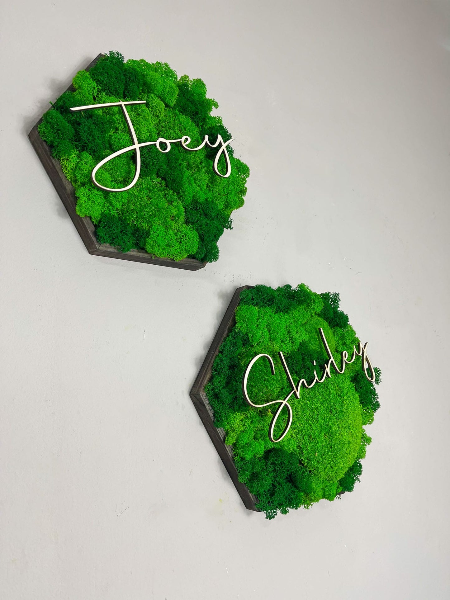 Moosbild Moos Moosbilder Rahmen Sechseck Wabe Hexagon personalisiert Geschenk einzigartig Unikat Rahmen Islandmoos Ballmoos Kugelmoos Rentiermoos Naturgrün Gedankenwunder Name Datum Wunsch  Mooswand Pflanzenwand Gestaltung 