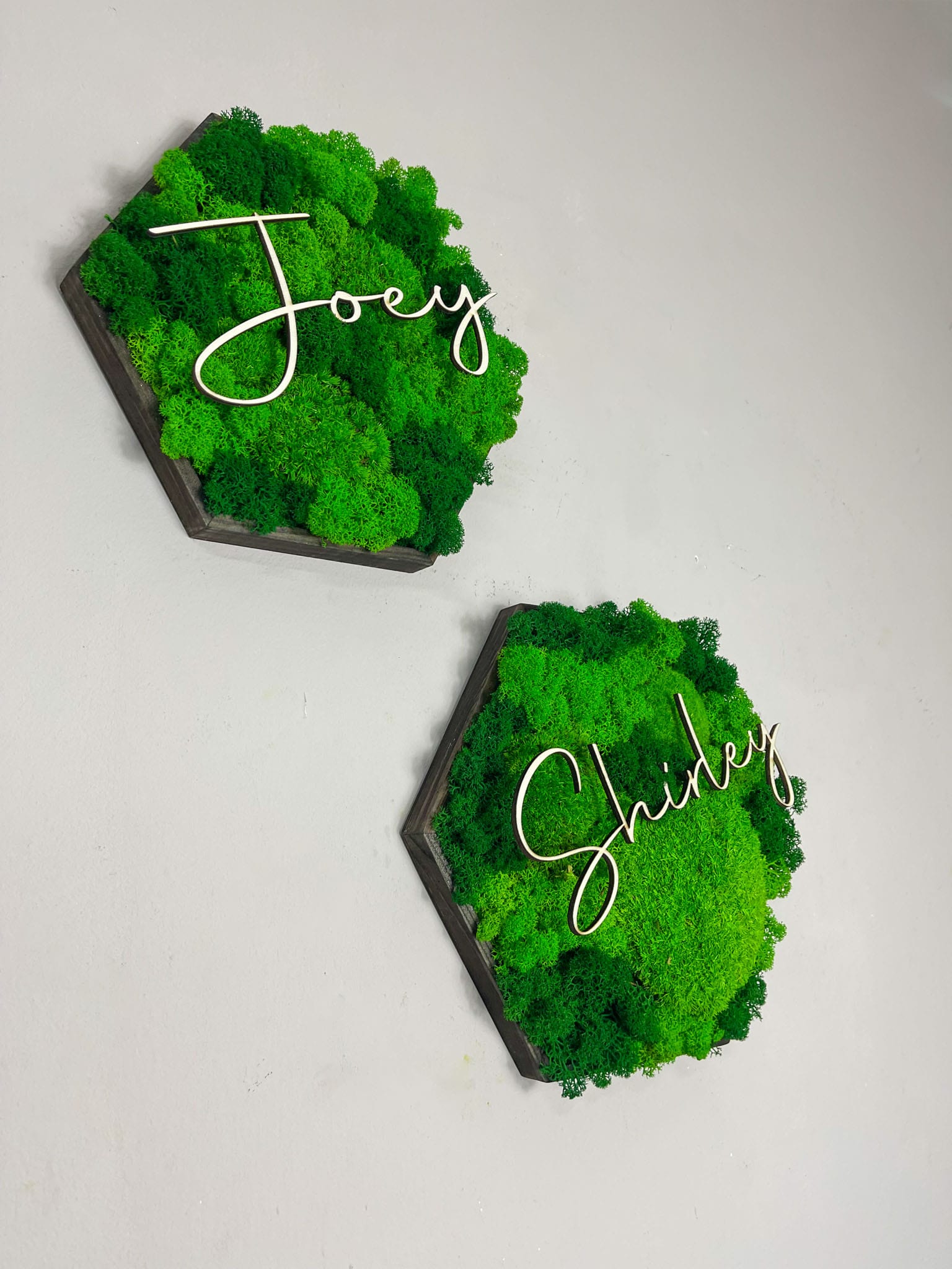 Moosbild Moos Moosbilder Rahmen Sechseck Wabe Hexagon personalisiert Geschenk einzigartig Unikat Rahmen Islandmoos Ballmoos Kugelmoos Rentiermoos Naturgrün Gedankenwunder Name Datum Wunsch  Mooswand Pflanzenwand Gestaltung 