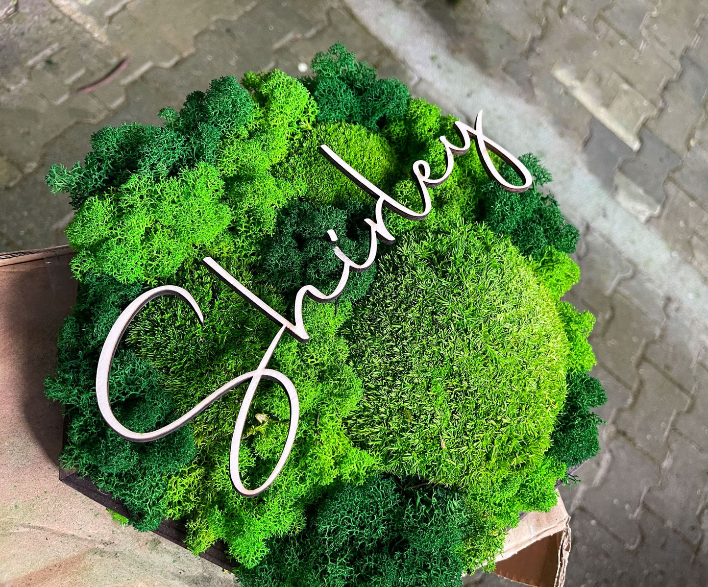 Moosbild Moos Moosbilder Rahmen Sechseck Wabe Hexagon personalisiert Geschenk einzigartig Unikat Rahmen Islandmoos Ballmoos Kugelmoos Rentiermoos Naturgrün Gedankenwunder Name Datum Wunsch  Mooswand Pflanzenwand Gestaltung Schriftzug