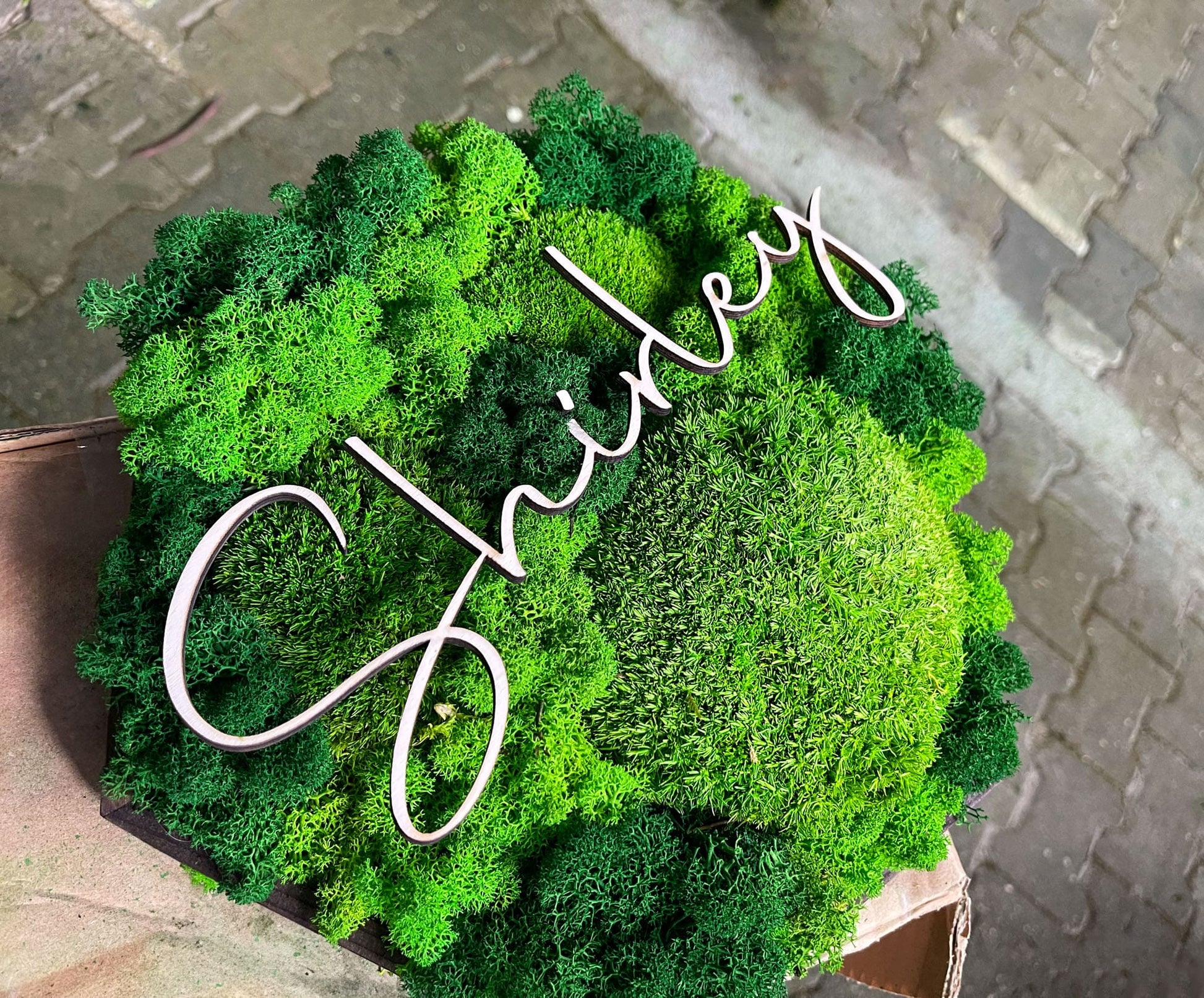 Moosbild Moos Moosbilder Rahmen Sechseck Wabe Hexagon personalisiert Geschenk einzigartig Unikat Rahmen Islandmoos Ballmoos Kugelmoos Rentiermoos Naturgrün Gedankenwunder Name Datum Wunsch  Mooswand Pflanzenwand Gestaltung Schriftzug