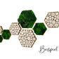 Baumscheiben Astscheiben Wanddekoration Wandpaneel Wandpaneele Deko Bild Gemälde Wandkust Wandbild Baumscheibe Baumringe Farben Bilder Landhaus Shabby Chick Baum Moosbild Hexagon modern Wabe Sechseck Mooswand Moosbilder Pflanzenbilder Pflanzenbild Ast
