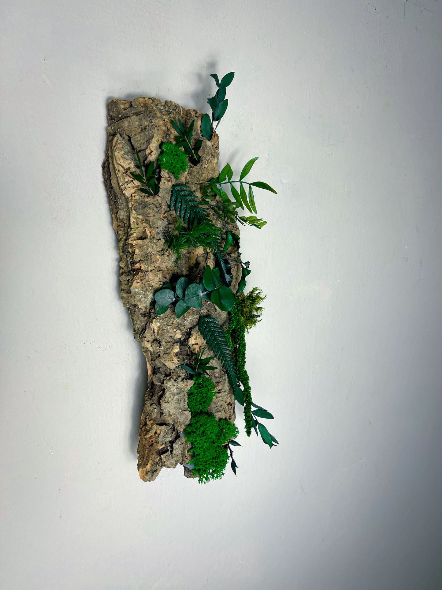 Moos Moss Objekt Skulptur Sculptur Holz Wurzel Wurzelholz Deko Dekoration Pflanzen konserviert biophelic Treibholz Teak Wanddeko Unikat Baumrinde Rinde Kork Korkrinde konservieret Islandmoos