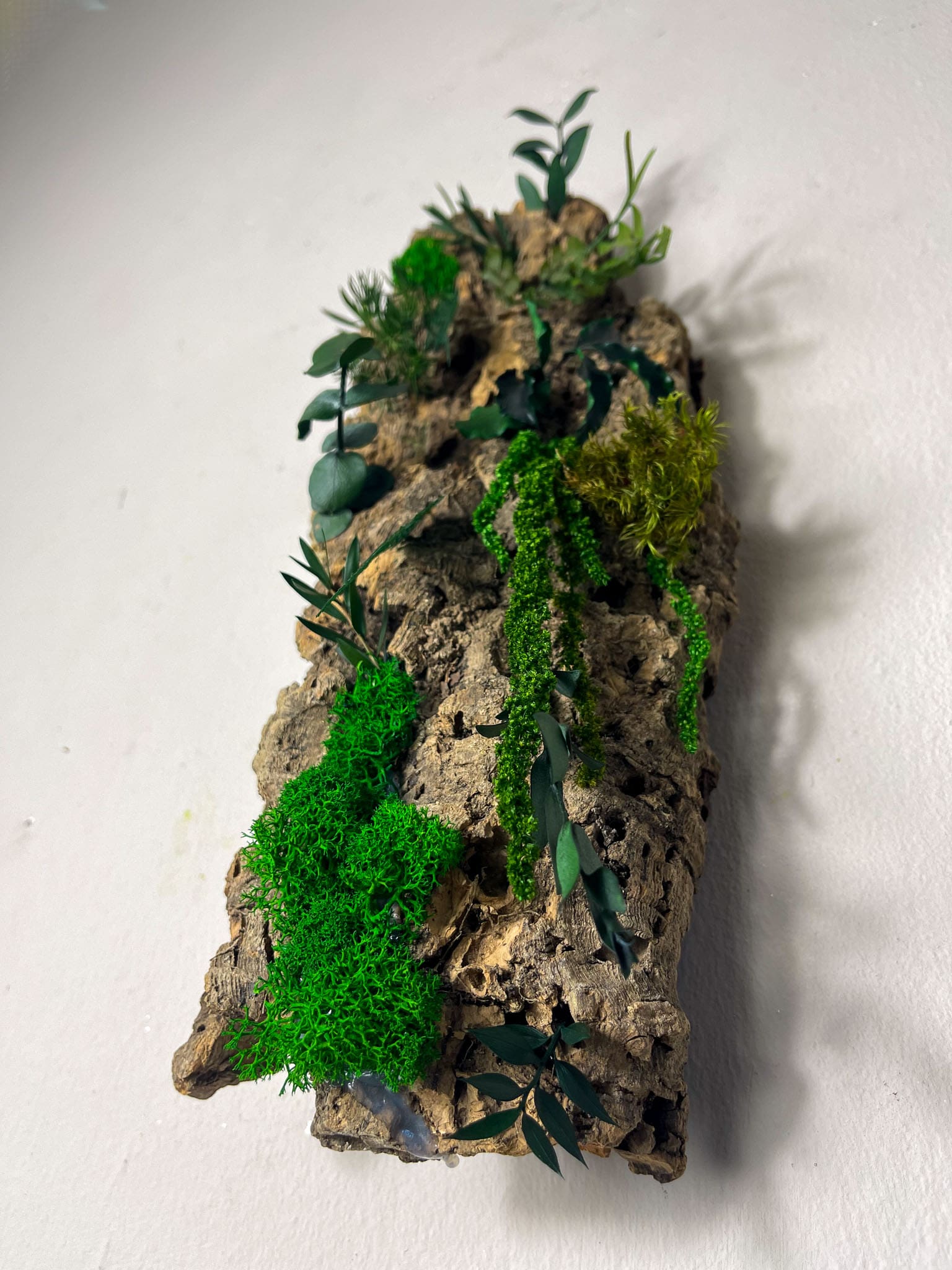 Moos Moss Objekt Skulptur Sculptur Holz Wurzel Wurzelholz Deko Dekoration Pflanzen konserviert biophelic Treibholz Teak Wanddeko Unikat Baumrinde Rinde Kork Ranke Ranken