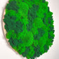 Kugelmoos Ballenmoos Bollenmoos Moos Moosbild Moosbilder Quadrat Hexagon Sechseck Waldmoos Islandmoos Rentiermoos Viereck Rahmen Bild Bilder Wanddeko Wandekoration Gemälde weiß schwarz natur Dschungel Rund Kreis Ball Ballenmoos Farbverlauf Smaragd