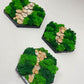 Geschenk Pusteblume Rahmen Rechteck Islandmoos moos Moosbild Rentiermoos Hellgrün Grün Natur Bollenmoos Moobilder Mooswand Pflanzen Pflanzenbild Baumscheibe Astscheibe Ast Baum Holzscheibe diy