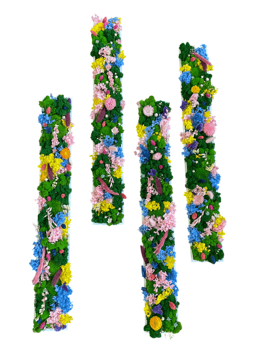 Geschenk  Rahmen Rechteck Islandmoos moos Moosbild Rentiermoos Hellgrün Grün Natur Bollenmoos Moobilder Mooswand Pflanzen Pflanzenbild Flachmoos Multi Multicolour Multicolor