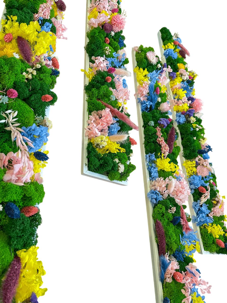 Geschenk  Rahmen Rechteck Islandmoos moos Moosbild Rentiermoos Hellgrün Grün Natur Bollenmoos Moobilder Mooswand Pflanzen Pflanzenbild Flachmoos Waldmoos Muttertag Geburtstag Wohnung Hortensie Hortensien Hortensienwald Blume Blossom