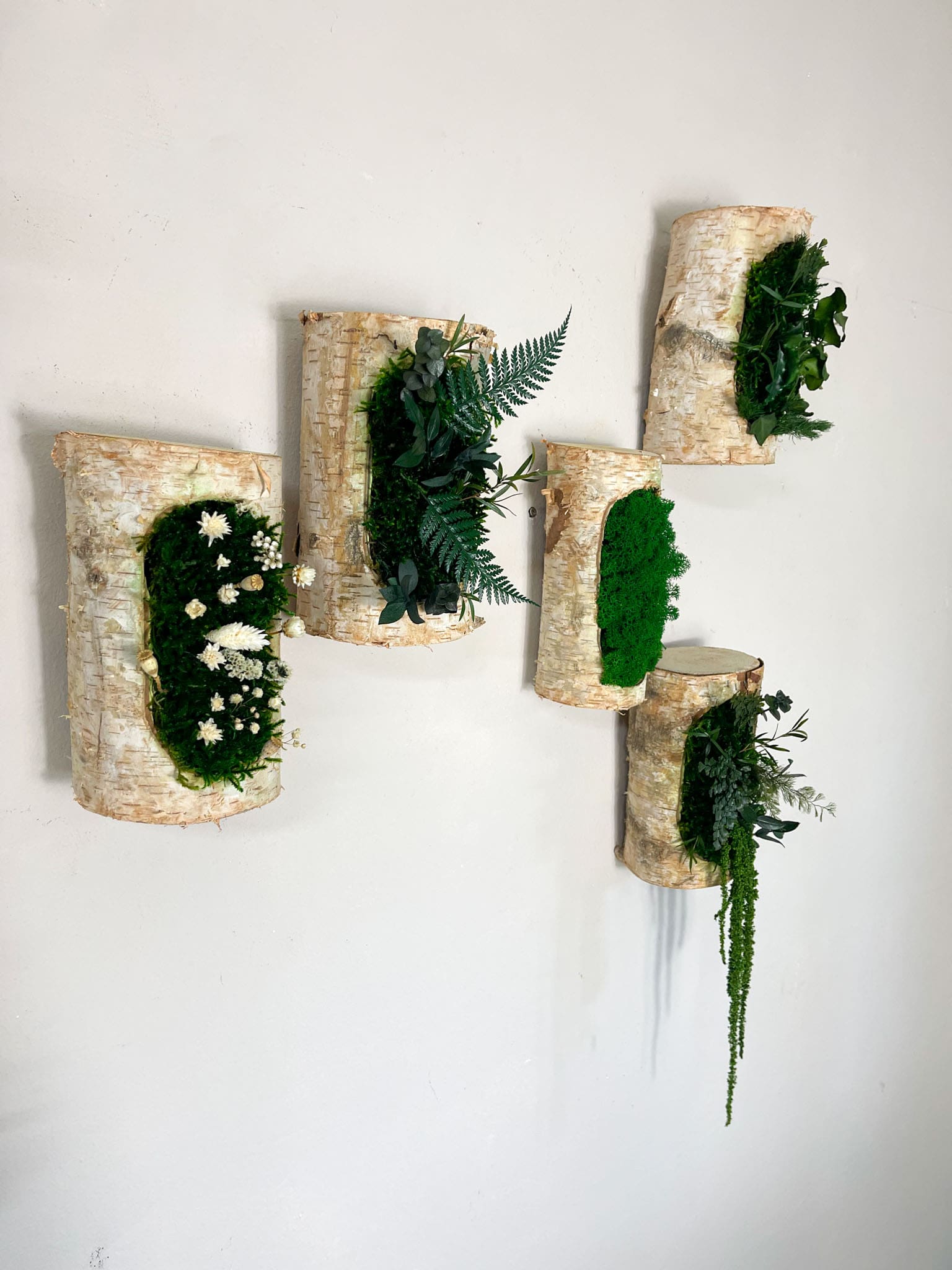 Moos Moss Objekt Deko Dekoration Pflanzen konserviert biophelic Treibholz Teak Wanddeko Unikat Baumrinde Rinde konserviert Islandmoos Birke Birkenstamm Birkenholz Efeu Efeuwald Blumen Farn Birkenholz Ranke Praxis Einrichtung Wohnung home Office Rentiermoos modern weiß Set