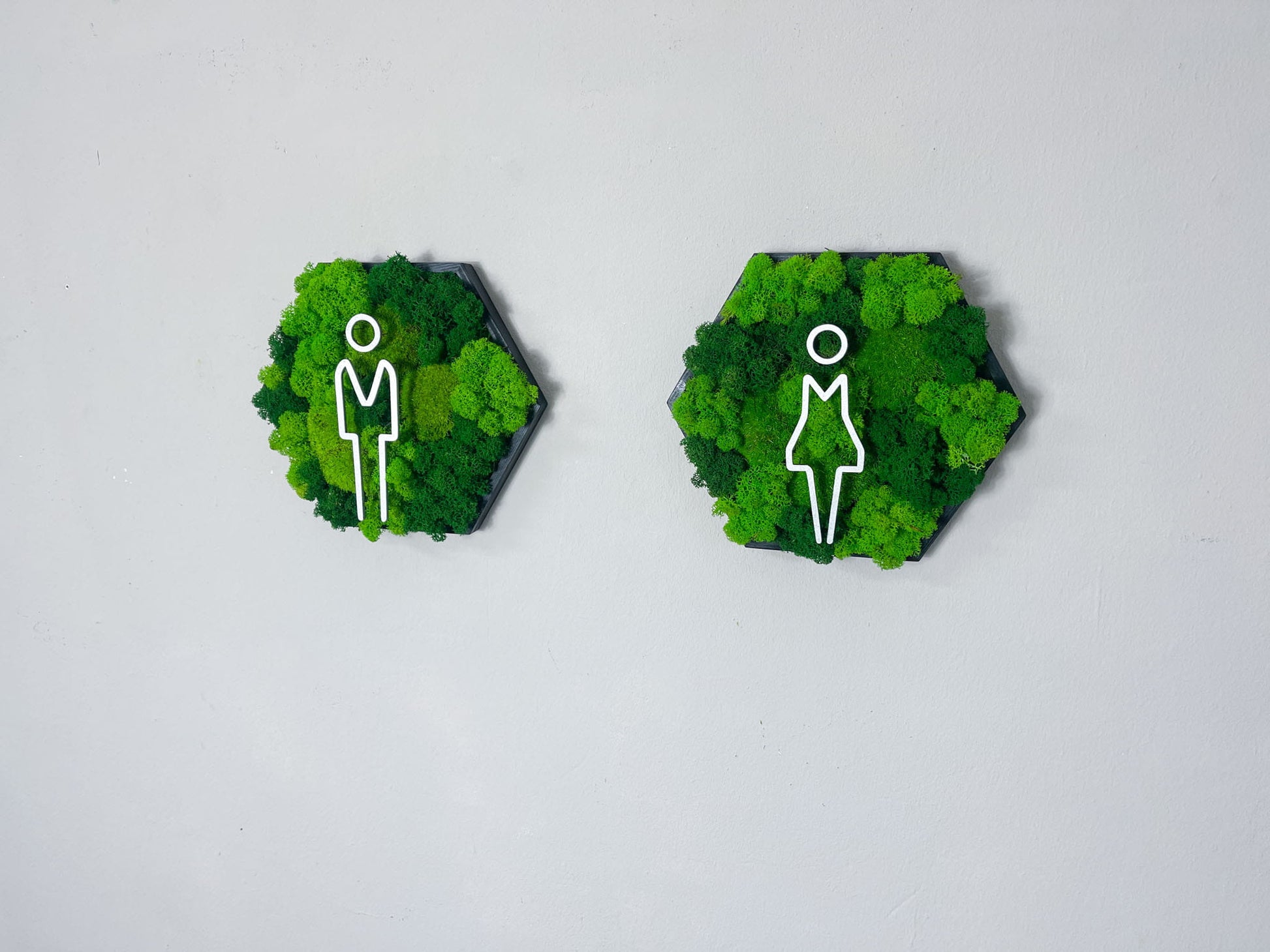 Moosbild WC Mann Frau Türschild Kloschild Schild Waschraum Rollstuhlfahrer Piktogramm Islandmoos Rentiermoos Einrichtung Toilette Toilettenschild Klo Hexagon Wabe Sechseck Pflanzenbild Gewerbe