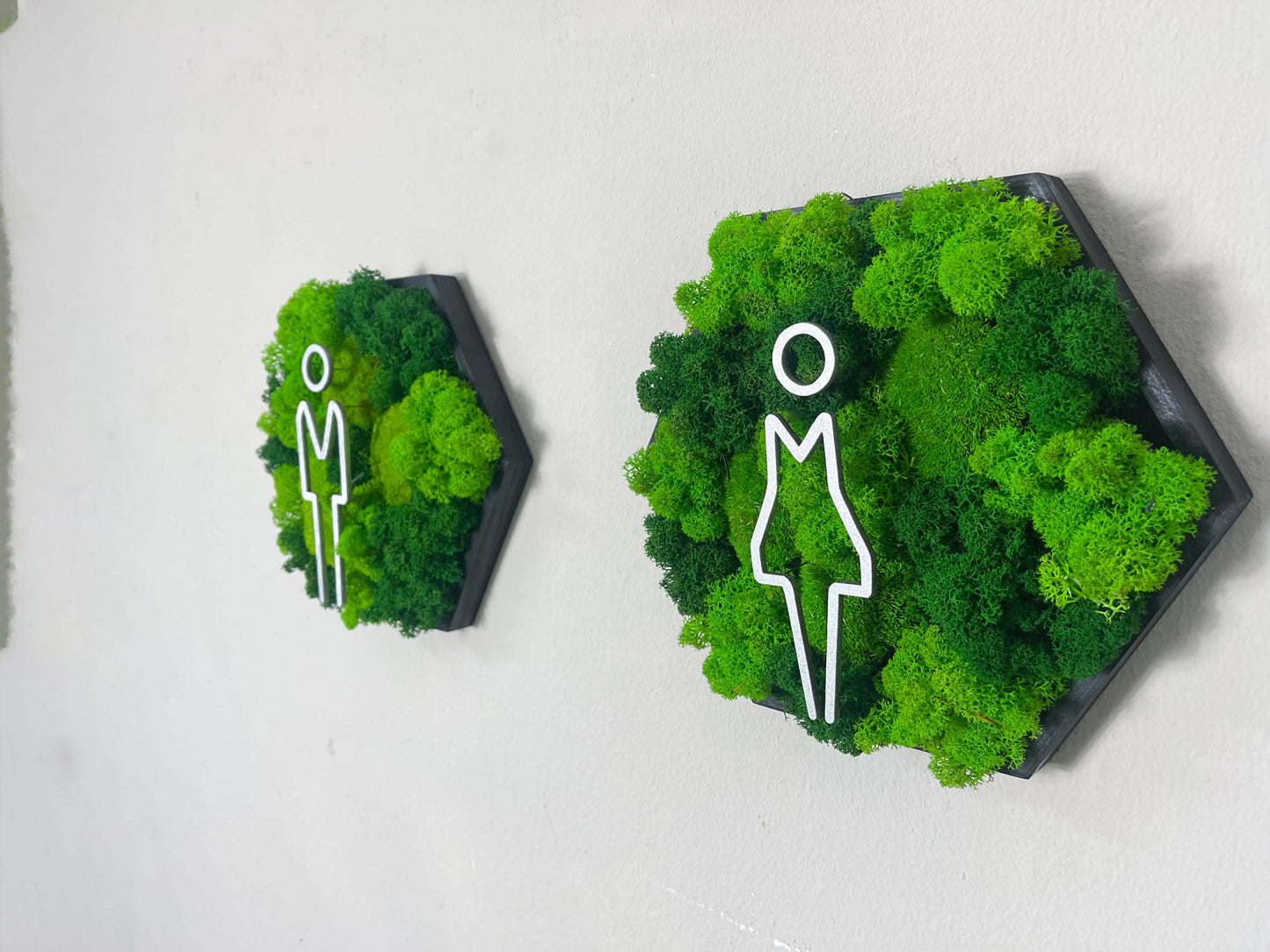 Moosbild WC Mann Frau Türschild Kloschild Schild Waschraum Rollstuhlfahrer Piktogramm Islandmoos Rentiermoos Einrichtung Toilette Toilettenschild Klo Hexagon Wabe Sechseck Pflanzenbild Gewerbe Gedankenwunder Ballmoos Kugelmoos Praxis Gewerbeschild