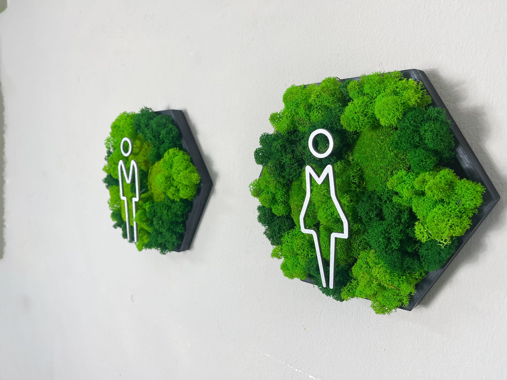 Moosbild WC Mann Frau Türschild Kloschild Schild Waschraum Rollstuhlfahrer Piktogramm Islandmoos Rentiermoos Einrichtung Toilette Toilettenschild Klo Hexagon Wabe Sechseck Pflanzenbild Gewerbe Gedankenwunder Ballmoos Kugelmoos Praxis Gewerbeschild