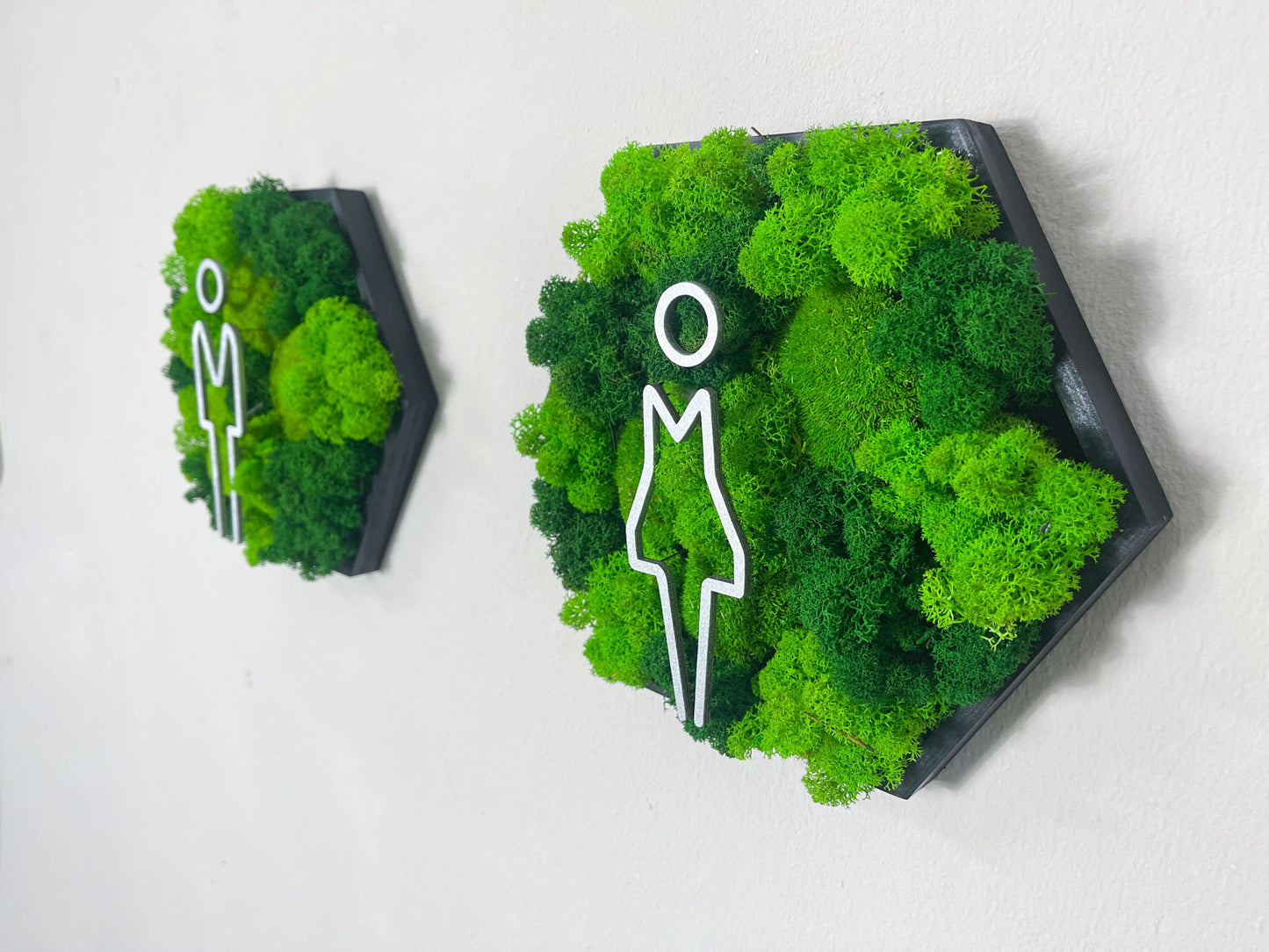 Moosbild WC Mann Frau Türschild Kloschild Schild Waschraum Rollstuhlfahrer Piktogramme Islandmoos Rentiermoos Toilette Toilettenschild Klo Hexagon Wabe Sechseck Pflanzenbild Gewerbe Ladeneinrichtung Resteraunt Gäste Gast Aufenthaltsraum 