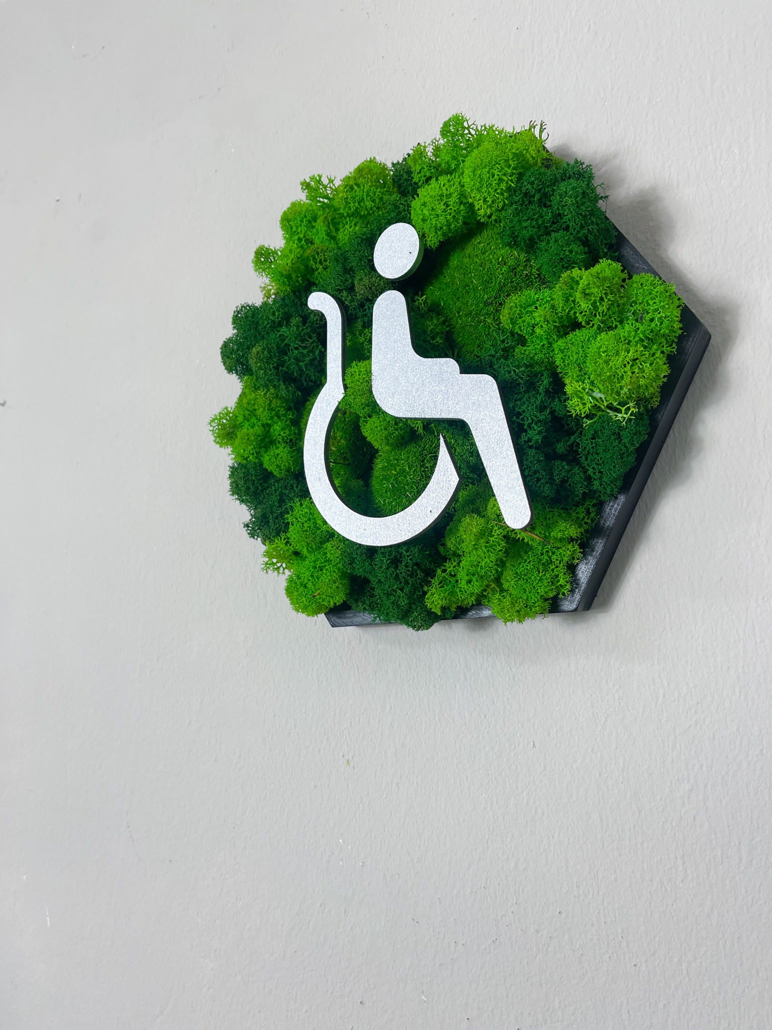 Moosbild WC Mann Frau Türschild Kloschild Schild Waschraum Rollstuhlfahrer Piktogramm Islandmoos Rentiermoos Einrichtung Toilette Toilettenschild Klo Hexagon Wabe Sechseck Pflanzenbild Gewerbe Barrierefrei Metall Farbe Metallic Acryl