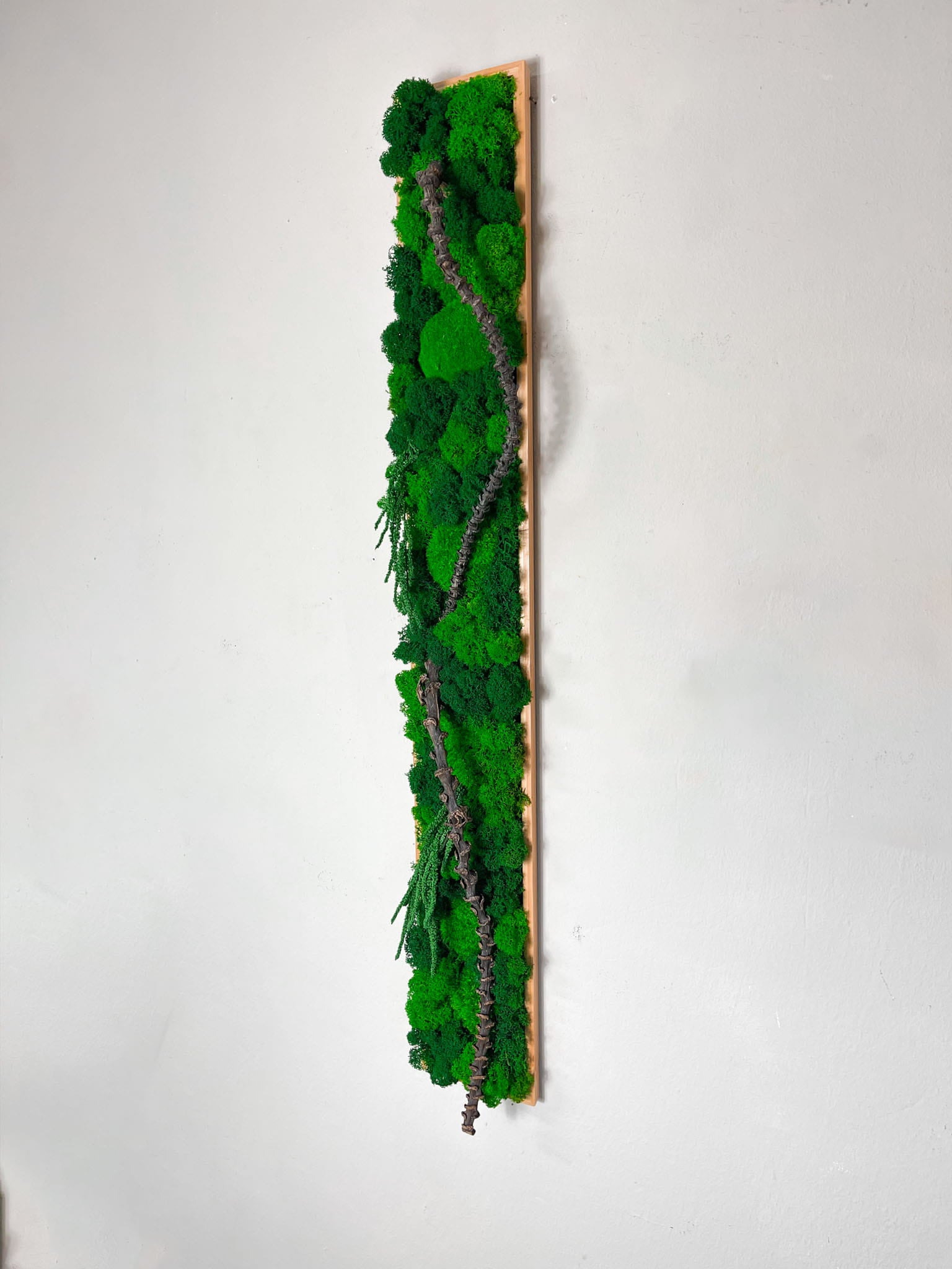 Geschenk Rahmen modern moos Moosbild  Hellgrün Grün Natur Moosbilder Mooswand Pflanzen Pflanzenbild Flachmoos  Dekoration Home Office Büro Schlafzimmer Bad Badezimmer Jungle Dschungel einrichten Idee Diy Detail Makro Handmade biophelic Baum Ast Äste Wohnung einrichten Einrichtung Neubau Holz