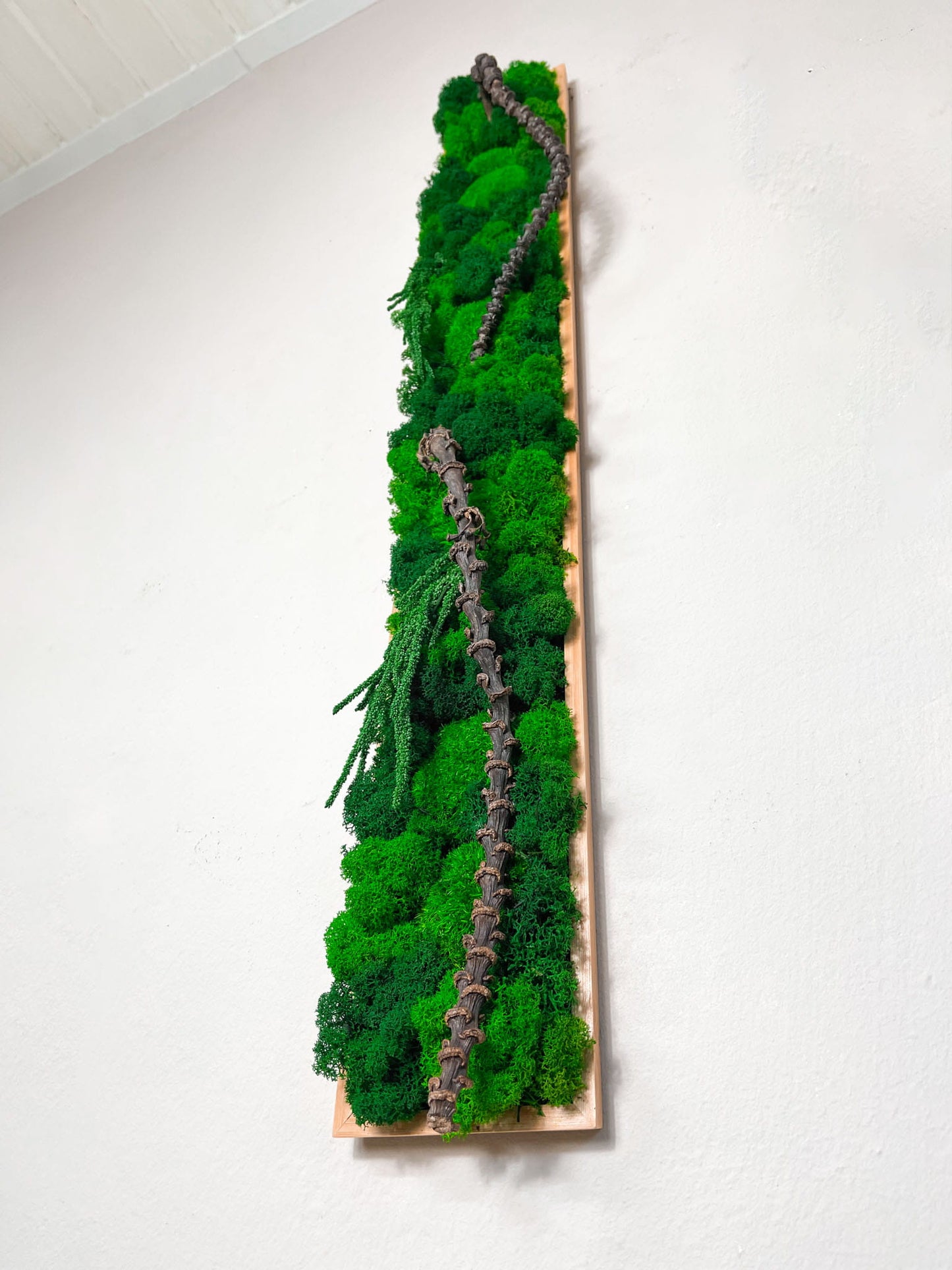 Geschenk Rahmen modern moos Moosbild  Hellgrün Grün Natur Moosbilder Mooswand Pflanzen Pflanzenbild Flachmoos Waldmoos Muttertag  Laden Ladenzeile Lang langes moosbild Rechteck Pflanzenwand Mooswand Design Praxis Zahnarzt Dekoration Home Office Büro Schlafzimmer Bad Badezimmer Jungle Dschungel einrichten Idee Diy Detail Makro Handmade biophelic Baum Ast Äste Holz Neubau Bezug Neubezug Wohnung wohnen einrichten