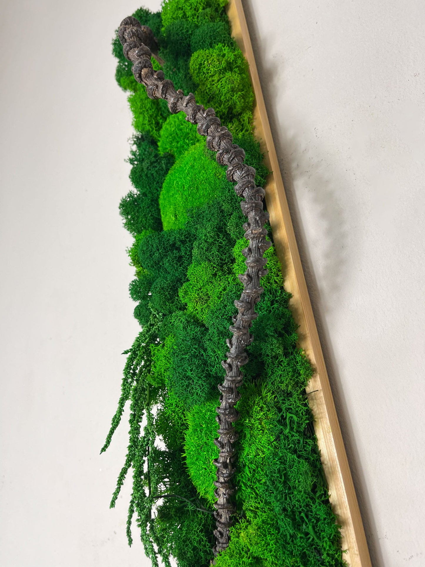 Geschenk Rahmen modern moos Moosbild  Hellgrün Grün Natur Moosbilder Mooswand Pflanzen Pflanzenbild Flachmoos Waldmoos Muttertag Geburtstag Wohnung Wand Deko Dekoration Islandmoos  Rechteck Mooswand Design Praxis Dekoration Home Office Büro einrichten Idee Diy Detail Makro Handmade biophelic Baum Ast Äste Holz Unikat einzigartig gewunden geschwungen