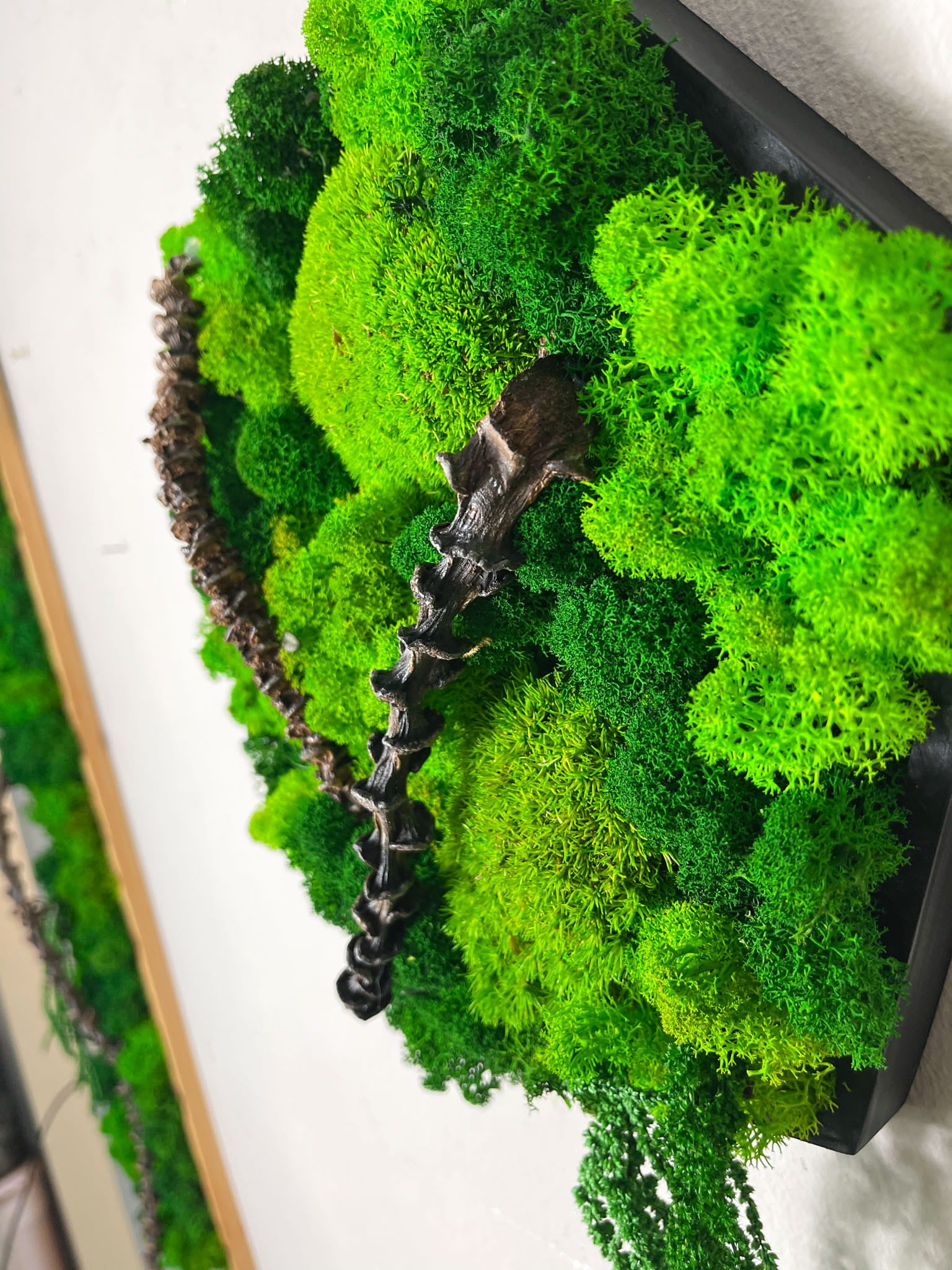 Rahmen Rechteck Islandmoos moos Moosbild Rentiermoos Hellgrün Grün Natur Bollenmoos Moobilder Mooswand Pflanzen Pflanzenbild Flachmoos Waldmoos Geburtstag Wohnung Ast Ranke Äste Ranken einrichten neu zu Hause Arztpraxis Gewerbe Behörde Büro Home Office Mooswand