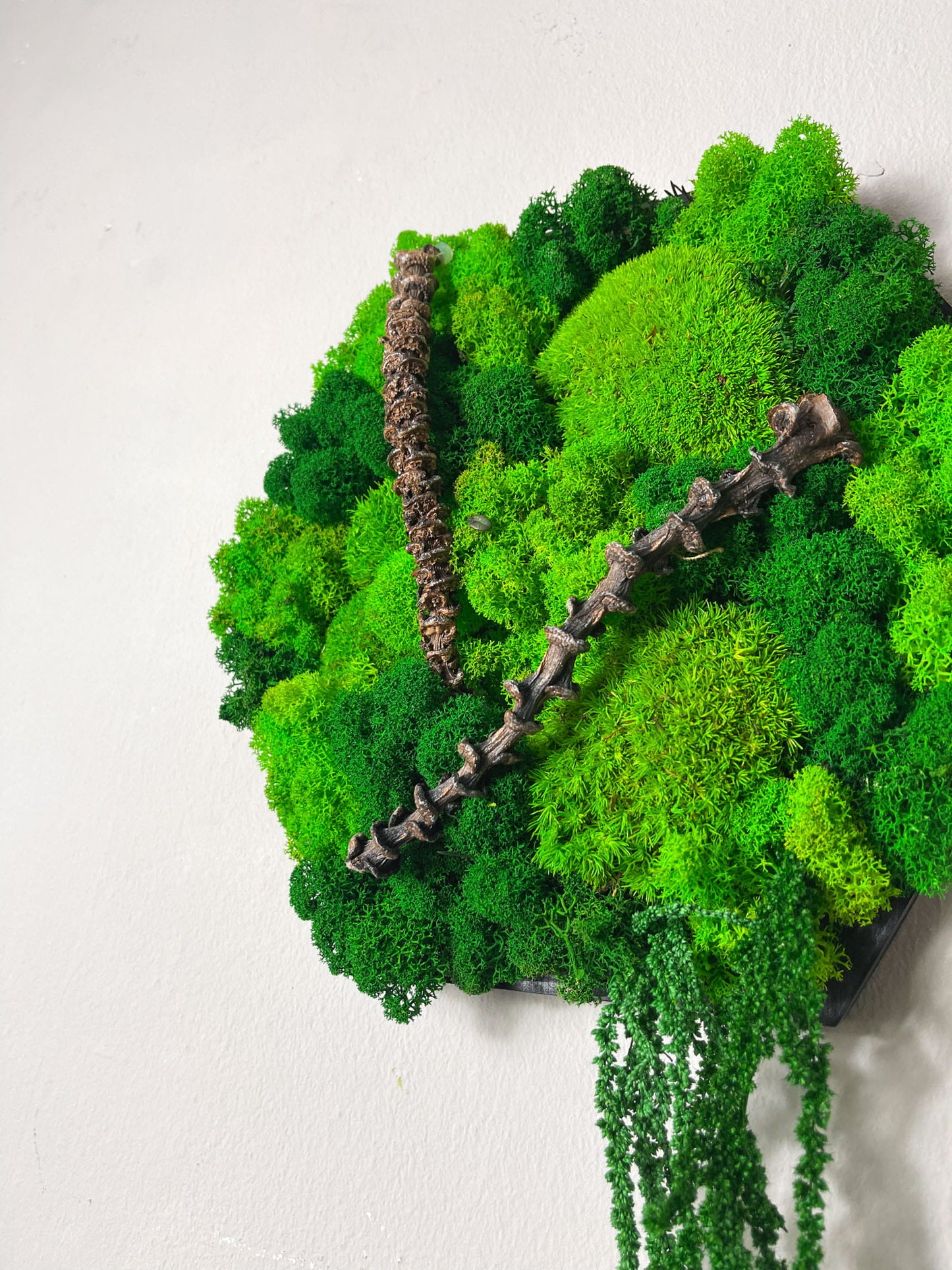 Geschenk  Rahmen Rechteck Islandmoos moos Moosbild Rentiermoos Hellgrün Grün Natur Bollenmoos Moobilder Mooswand Pflanzen Pflanzenbild Flachmoos Waldmoos Muttertag Geburtstag Wohnung Ast Ranke Gewerbe Einrichtung Küche Bad Wohnzimmer Praxis