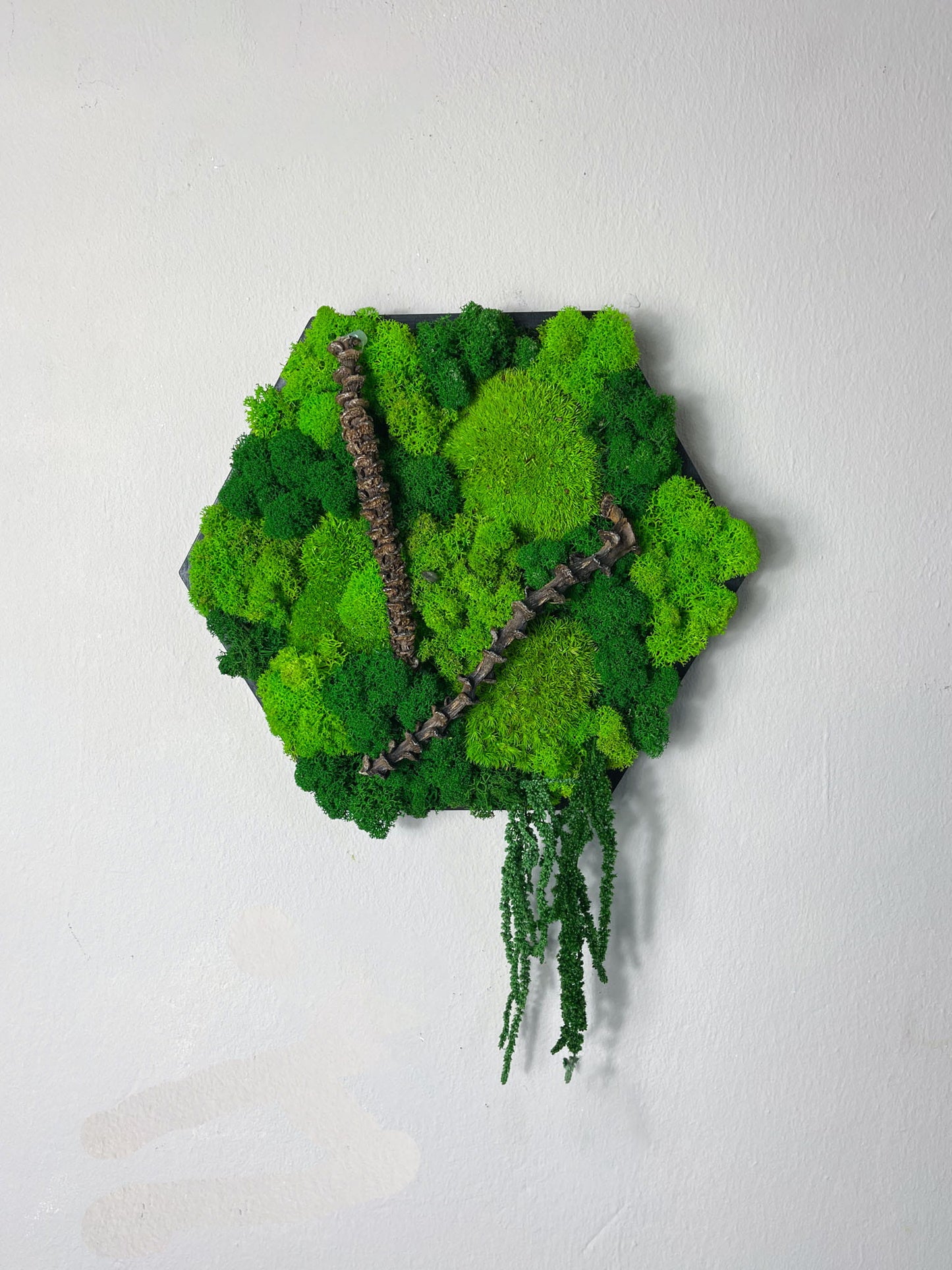 Rahmen Rechteck Islandmoos moos Moosbild Rentiermoos Hellgrün Grün Natur Bollenmoos Moobilder Mooswand Pflanzen Pflanzenbild Waldmoos Ast Ranke Äste Ranken einrichten neu zu Hause Arztpraxis Gewerbe Behörde Büro Home Office Mooswand