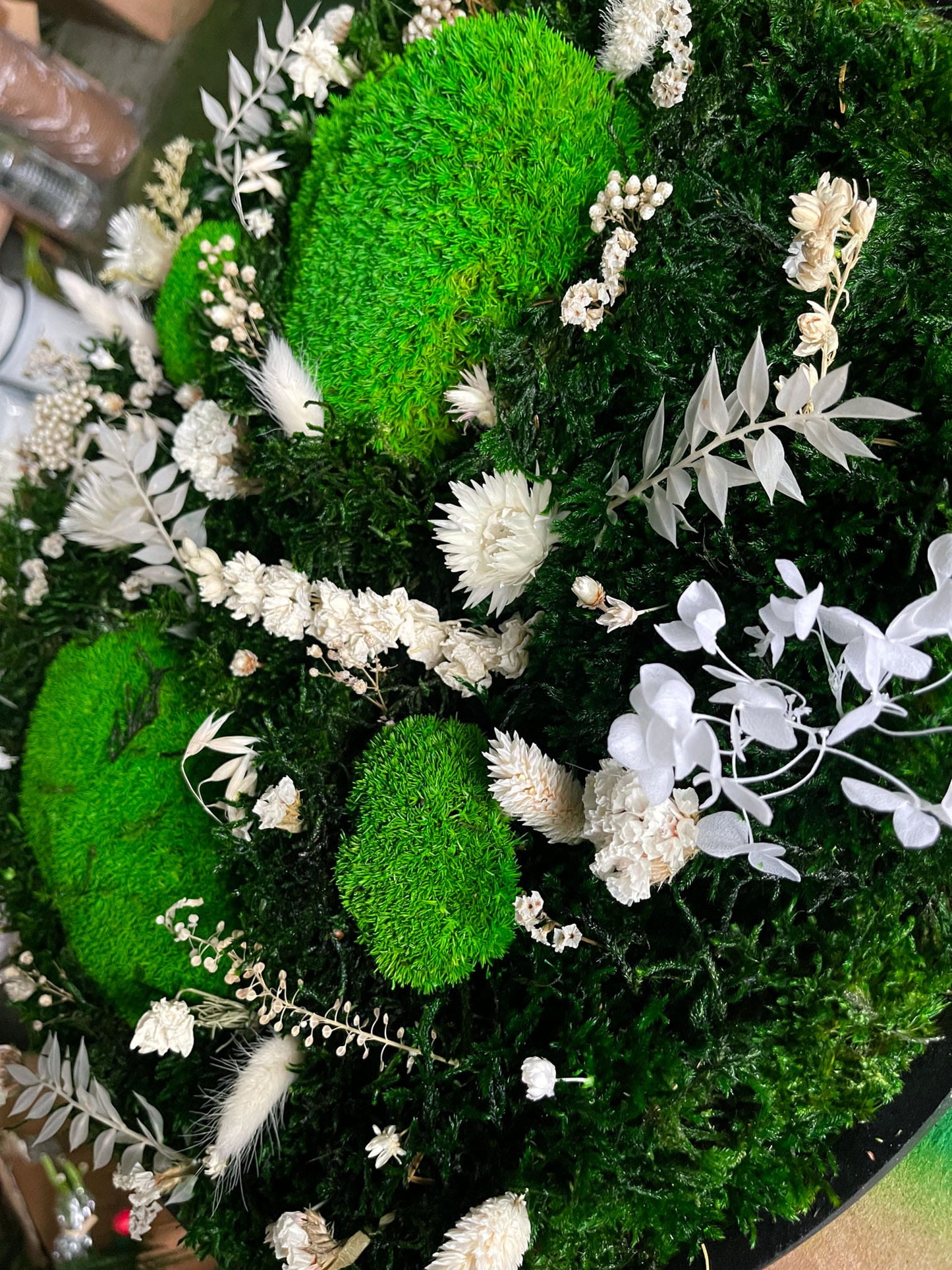 Geschenk Pusteblume Rahmen Rechteck Islandmoos moos Moosbild Hellgrün Grün Natur Bollenmoos Moosbilder Mooswand Pflanzen Pflanzenbild Pusteblume Pusteblumen Flachmoos Waldmoos Muttertag Geburtstag Wohnung Trockenblume Blume Blumen Blüten rund