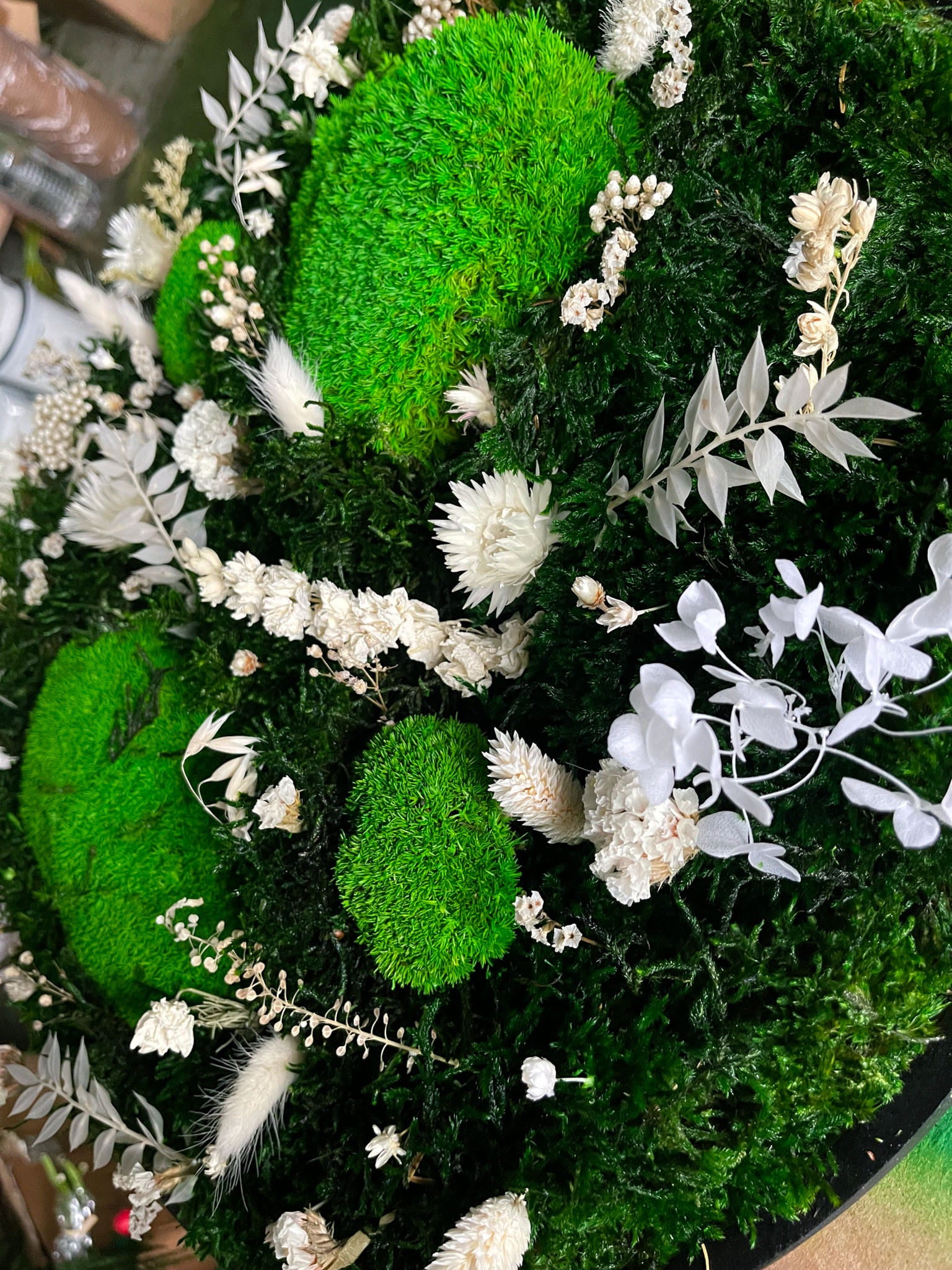 Geschenk Pusteblume Rahmen Rechteck Islandmoos moos Moosbild Hellgrün Grün Natur Bollenmoos Moosbilder Mooswand Pflanzen Pflanzenbild Pusteblume Pusteblumen Flachmoos Waldmoos Muttertag Geburtstag Wohnung Trockenblume Blume Blumen Blüten rund