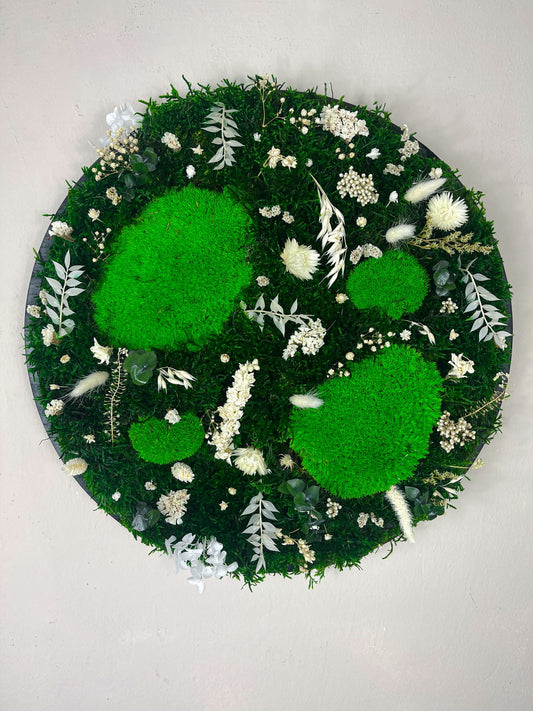 Geschenk Pusteblume Rahmen Rechteck Islandmoos moos Moosbild Rentiermoos Hellgrün Grün Natur Bollenmoos Moobilder Mooswand Pflanzen Pflanzenbild Pusteblume Pusteblumen Löwenzahn Flachmoos Waldmoos Muttertag Geburtstag Wohnung Dschungel Trockenblume eigene Auswahl