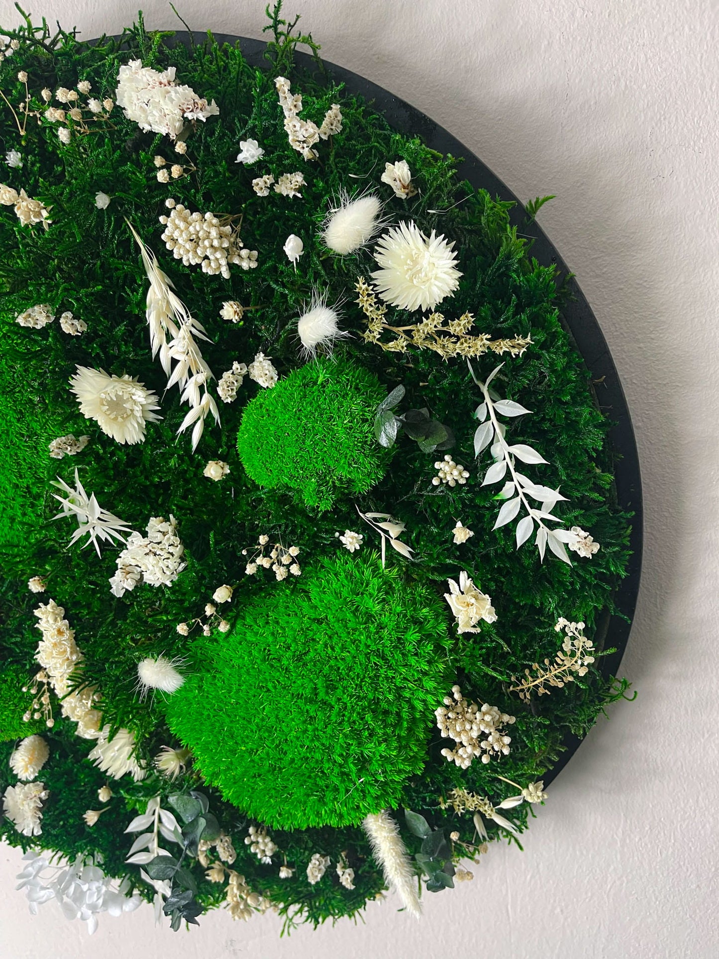 Geschenk Pusteblume Rahmen Rechteck Islandmoos moos Moosbild Hellgrün Grün Natur Bollenmoos Moosbilder Mooswand Pflanzen Pflanzenbild Pusteblume Pusteblumen Flachmoos Waldmoos Muttertag Geburtstag Wohnung Trockenblume Blume Blumen Blüten rund Floristik Gärtnerei