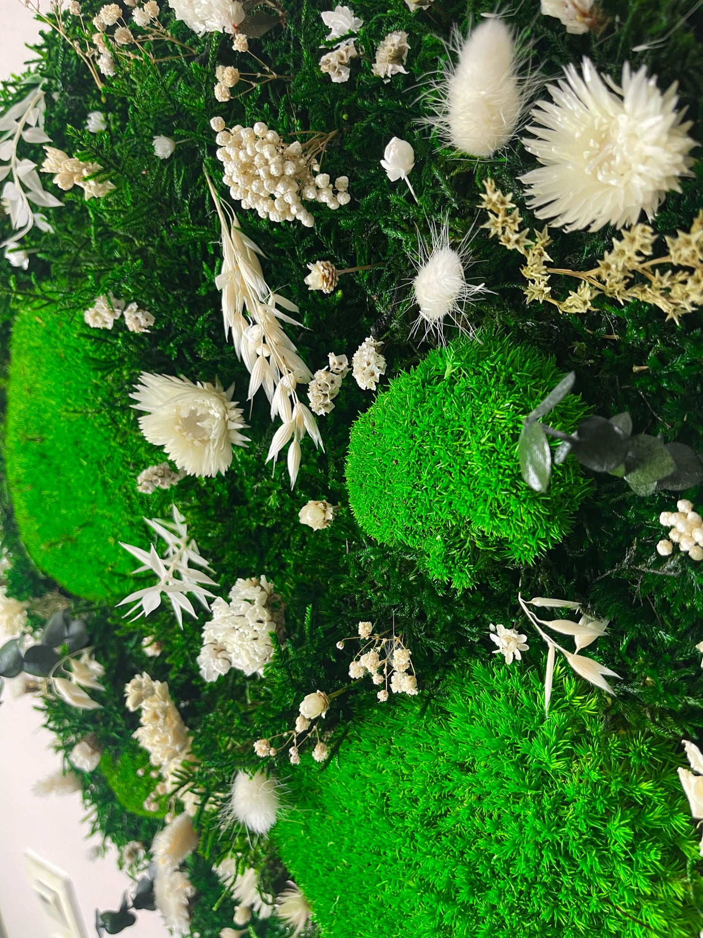 Geschenk Pusteblume Rahmen Rechteck Islandmoos moos Moosbild Hellgrün Grün Natur Bollenmoos Moosbilder Mooswand Pflanzen Pflanzenbild Pusteblume Pusteblumen Flachmoos Waldmoos Muttertag Geburtstag Wohnung Trockenblume Blume Blumen Blüten rund Praxis Gewerbe Einrichtung