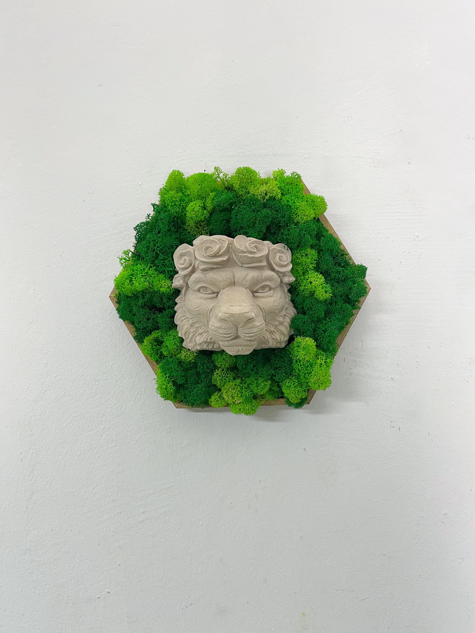 Geschenk Pusteblume Rahmen Rechteck Islandmoos moos Moosbild Rentiermoos Hellgrün Grün Natur Bollenmoos Flachmoos Waldmoos Muttertag Geburtstag Wohnung Löwe Symbol Stärke König der Tiere Deko
Kraft Mut Wandbild Statement Wanddeko inspirierende Wandkunst Motivations Deko Büro Dschungel Kombi 