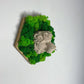Löwe Symbol Stärke König der Tiere Deko Kraft  Mut Wandbild Statement Wanddeko inspirierende Wandkunst Motivations Deko Büro Löwenkopf Wohndeko Moosbild Moosbilder Hexagon Wandkunst Wabe Sechseck