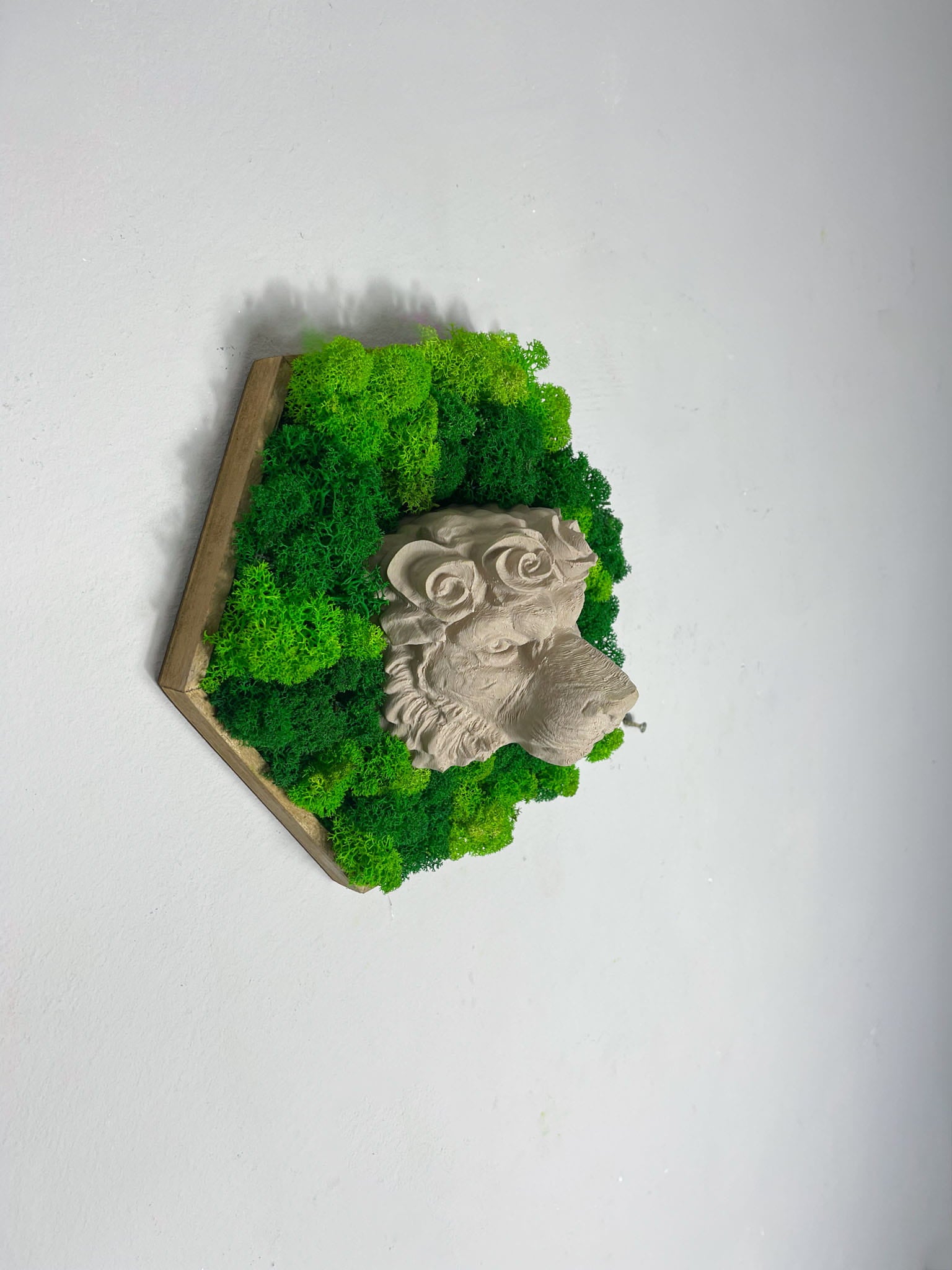 Löwe Symbol Stärke König der Tiere Deko Kraft  Mut Wandbild Statement Wanddeko inspirierende Wandkunst Motivations Deko Büro Löwenkopf Wohndeko Moosbild Moosbilder Hexagon Wandkunst Wabe Sechseck