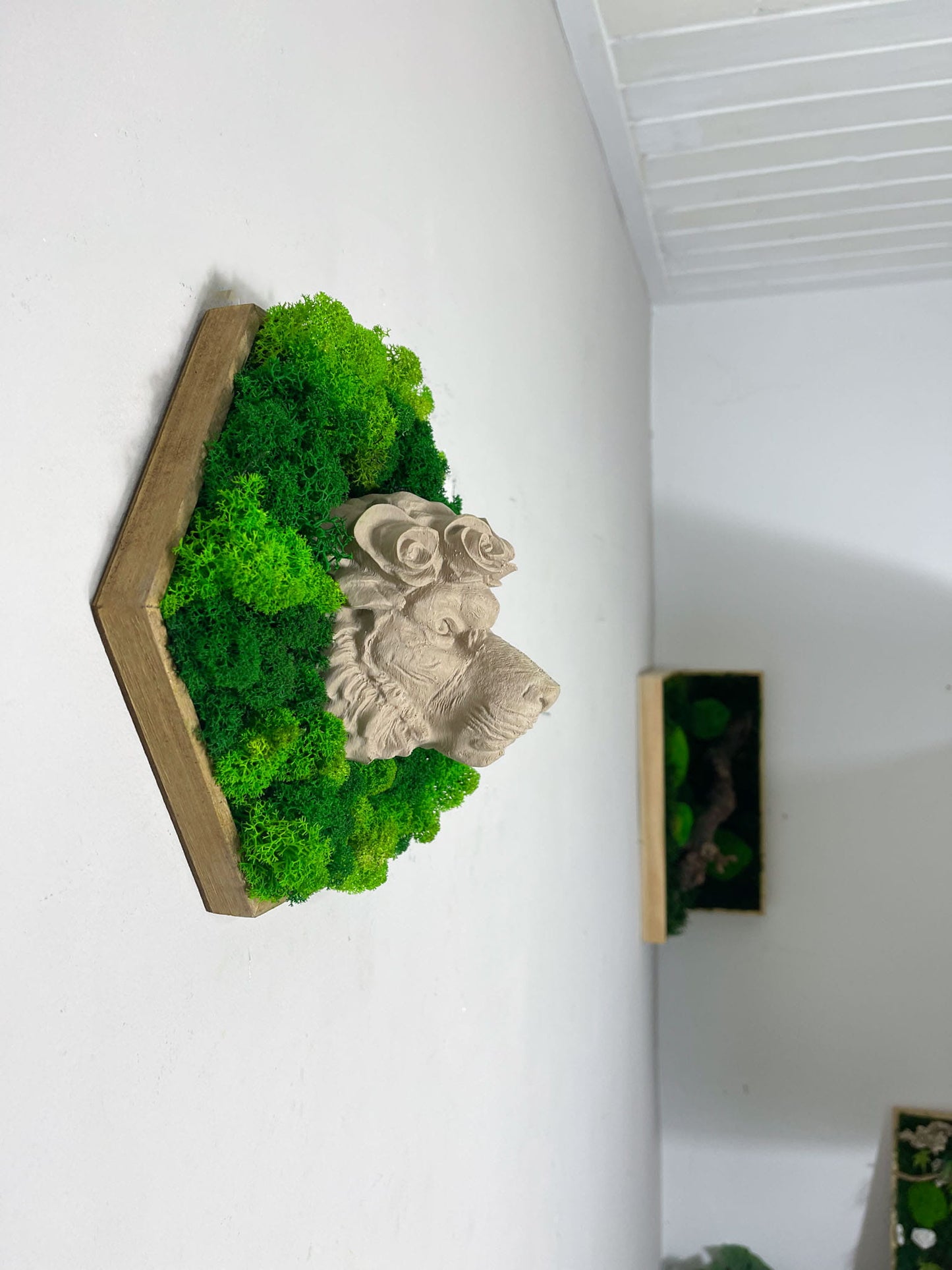 Moosbild Löwe Löwenkopf
Wanddeko 3D handgemacht
Skulptur Wand Moosbild Blumenkrone Druck Diy Handmade Wabe Sechseck Hexagon Islandmoos Rentiermoos Löwenmoos