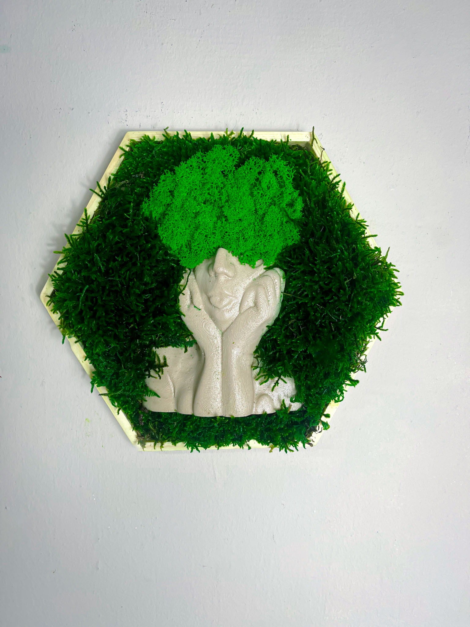 Moosbild Moosbilder Rahmen Sechseck Wald Wabe Haar Haare Haarfrisur Pflanzen im Kopf Hexagon Islandmoos Rentiermoos modern Skulptur Deko Objekt Dekoobjekt Waldmoos