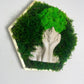 Moosbild Moosbilder Rahmen Sechseck Wald Wabe Haar Haare Haarfrisur Pflanzen im Kopf Hexagon Islandmoos Rentiermoos modern Skulptur Deko Objekt Dekoobjekt