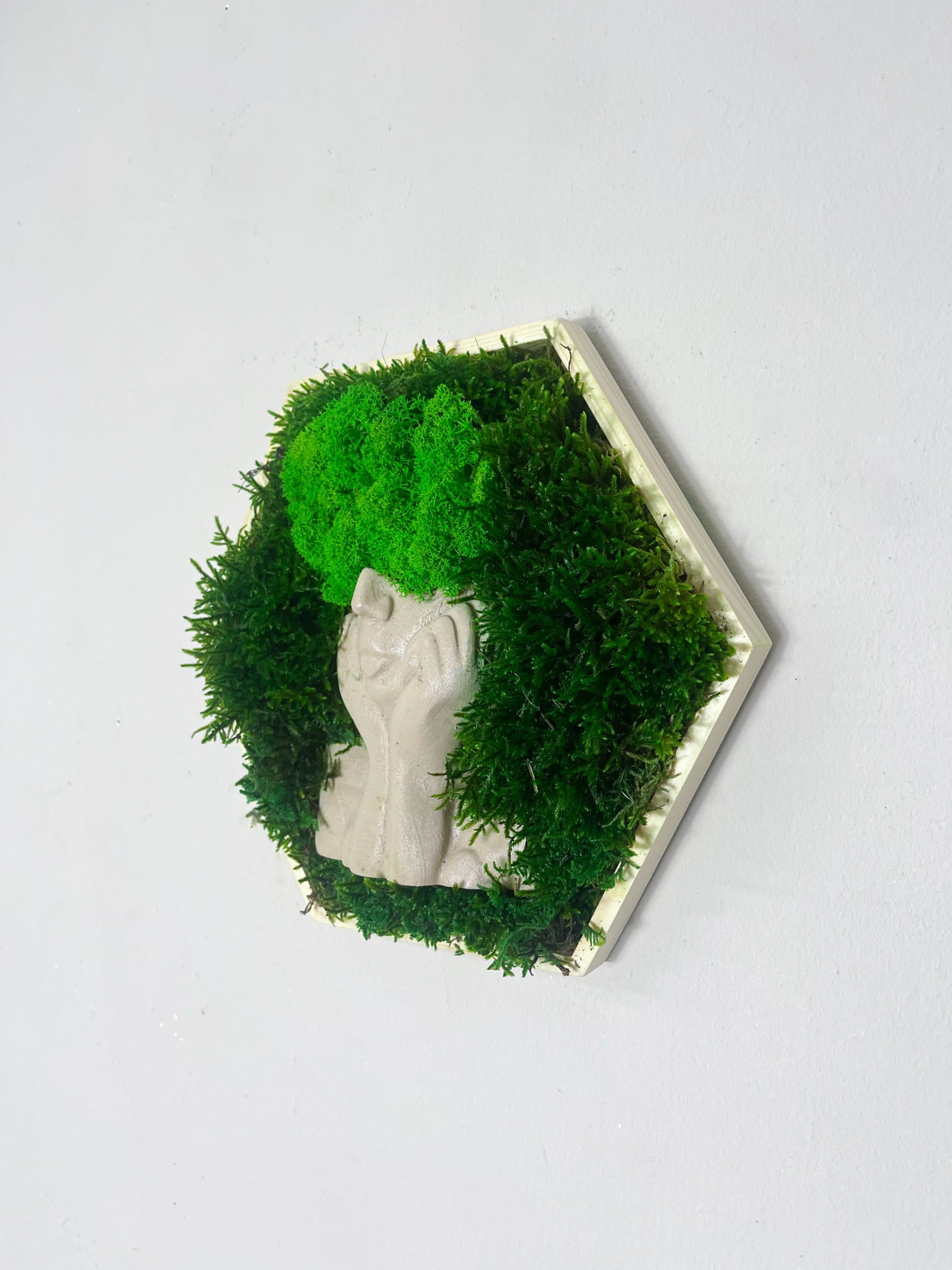 Moosbild Moosbilder Rahmen Sechseck Wald Wabe Haar Haare Haarfrisur Pflanzen im Kopf Hexagon Islandmoos Rentiermoos modern Skulptur Deko Objekt lustig einzigartig Unikat Haarmoos