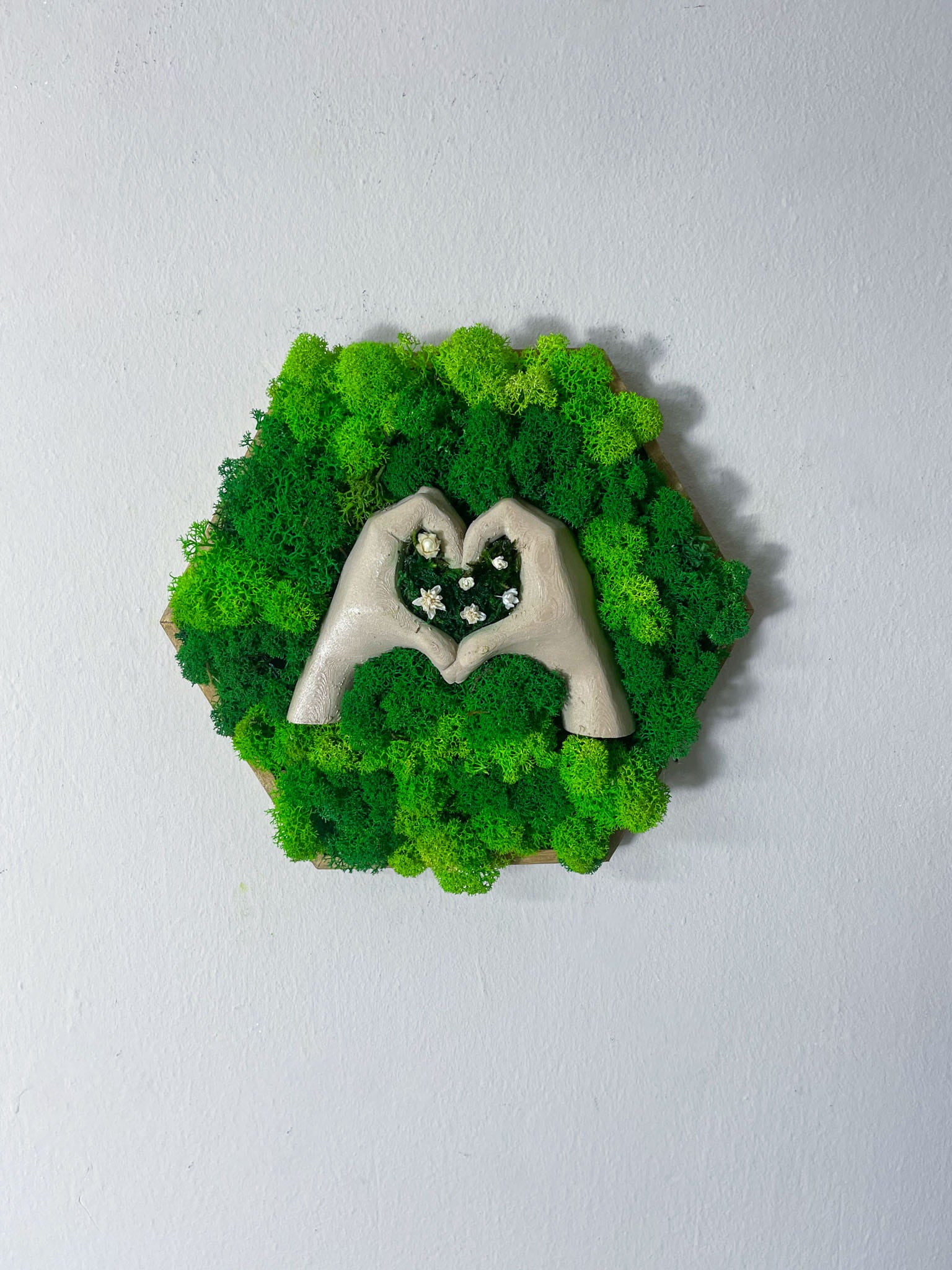 Geschenk Pusteblume Rahmen Rechteck Islandmoos moos Moosbild Rentiermoos Hellgrün Grün Natur Bollenmoos Flachmoos Waldmoos Muttertag Geburtstag Wohnung Herzmoos Moosherz Herzblume Blume Herz Geste Herzgeste Blumen