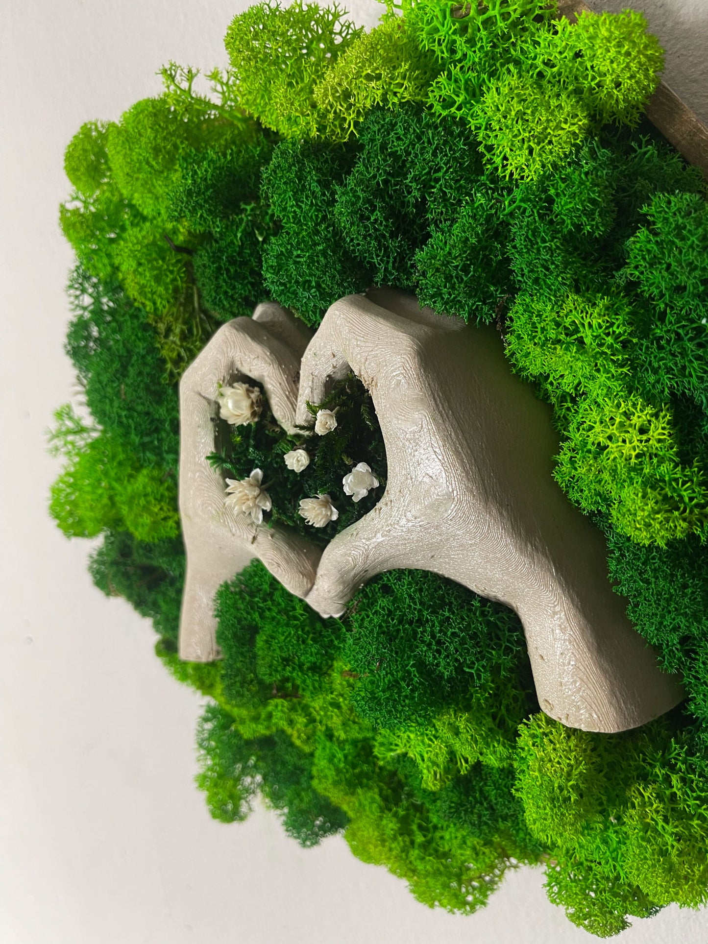 Geschenk Pusteblume Rahmen Rechteck Islandmoos moos Moosbild Rentiermoos Hellgrün Grün Natur Bollenmoos Flachmoos Waldmoos Muttertag Geburtstag Wohnung 3D Geste Blume Druck Wabe Hexagon Herz Herzgeste Geste Einrichtung