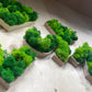 Moos Moosbild Grün Island Islanmoos Buchstabe Buchstaben Name Wort Schrift MDF Holz Farben Wand Wanddeko Dekoration Bild Gemälde Alphabet Moosbild Moosbilder Rentiermoos Schriftzug Alphabet A-Z
