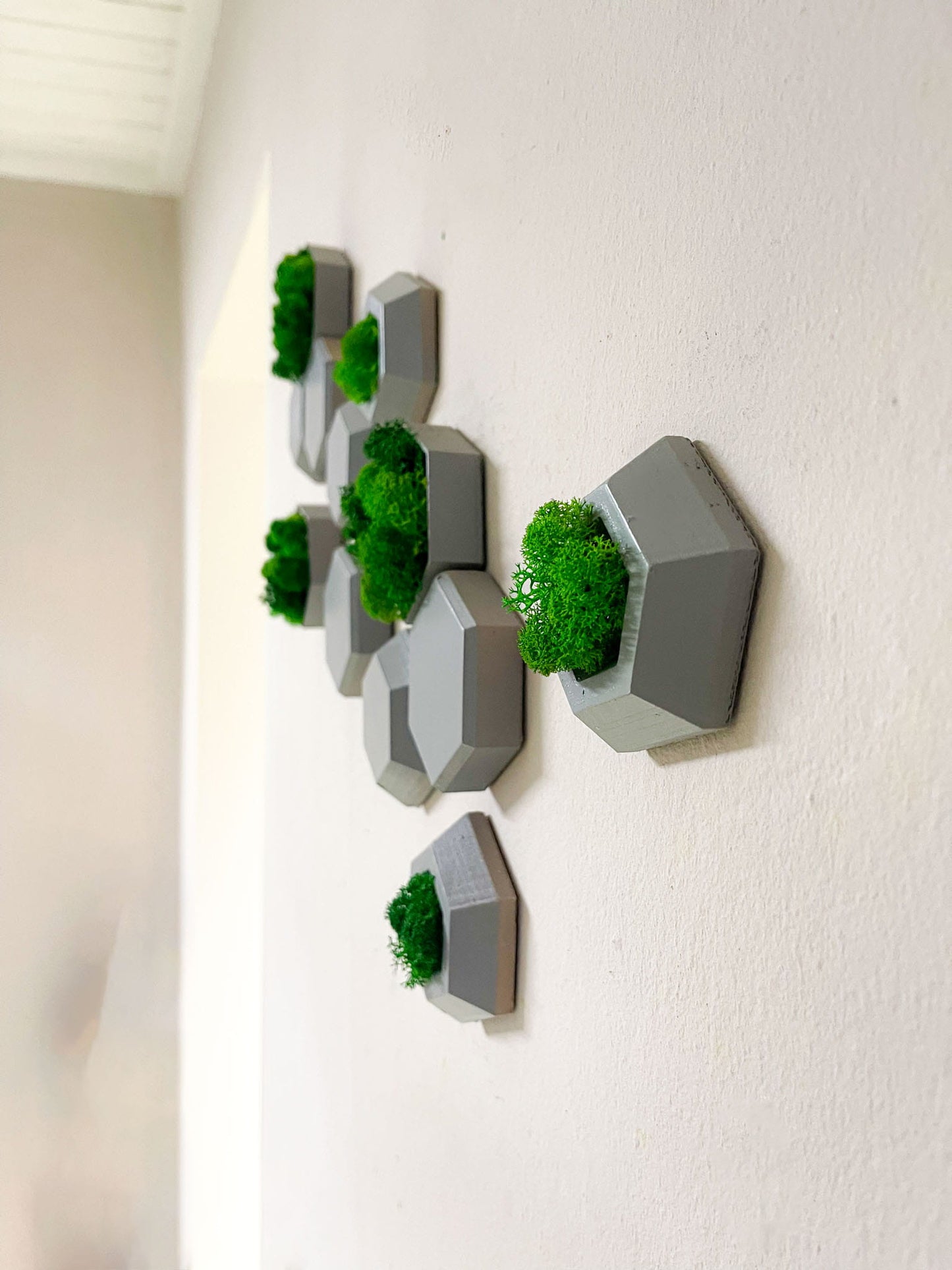 Geschenk Rahmen modern moos Moosbild  Hellgrün Grün Natur Moosbilder Mooswand Pflanzen Pflanzenbild Flachmoos Waldmoos Muttertag Geburtstag Wohnung Wand Deko Dekoration Islandmoos Rentiermoos Ast Teak Treibholz innen grün Wald Innenraum Deko Dekoration Mini Mosaik Steine Fliese Hexagon Wabe Sechseck