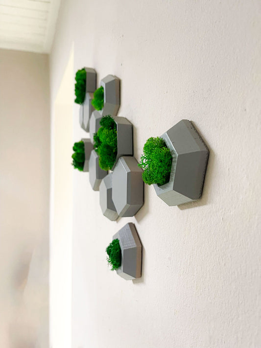 Geschenk Rahmen modern moos Moosbild  Hellgrün Grün Natur Moosbilder Mooswand Pflanzen Pflanzenbild Flachmoos Waldmoos Muttertag Geburtstag Wohnung Wand Deko Dekoration Islandmoos Rentiermoos Ast Teak Treibholz innen grün Wald Innenraum Deko Dekoration Mini Mosaik Steine Fliese Hexagon Wabe Sechseck