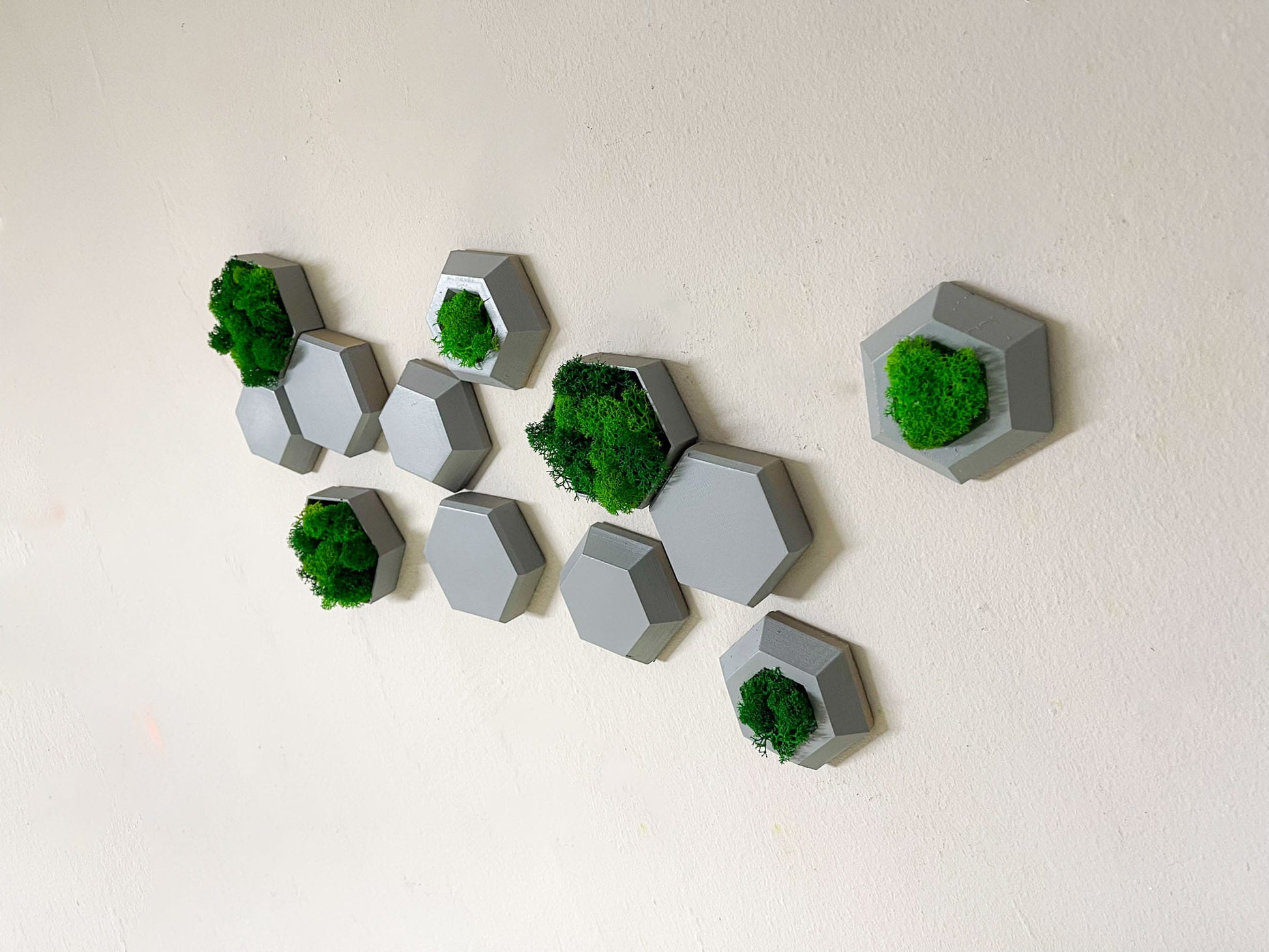 Geschenk Rahmen modern moos Moosbild  Hellgrün Grün Natur Moosbilder Mooswand Pflanzen Pflanzenbild Flachmoos Waldmoos Muttertag Geburtstag Wohnung Wand Deko Dekoration Islandmoos Rentiermoos Ast Teak Treibholz innen grün Wald Innenraum Deko Dekoration Mini Mosaik Steine Fliese Hexagon Wabe Sechseck Modern Gewerbe Einrichtung Praxis