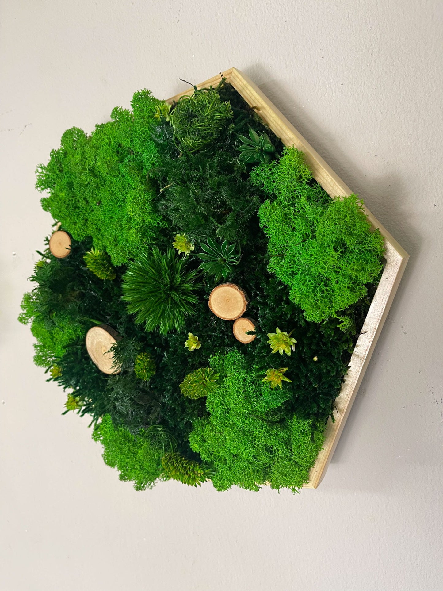 Geschenk Rahmen modern moos Moosbild  Hellgrün Grün Natur Moosbilder Mooswand Pflanzen Pflanzenbild Flachmoos Waldmoos Muttertag Geburtstag Wohnung Wand Deko Dekoration Islandmoos Rentiermoos innen grün Wald Innenraum Deko Dekoration Wabe biophelic Pflanzen Wand Sechseck Hexagon