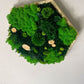 Moosbild
Wanddeko
Naturdeko
Hexagon Moosbild
konserviertes Moos
Islandmoos
Waldmoos
modernes Wohnen
Interior Design
nachhaltige Deko
handgemacht
Handmade
Pflanzenbild
grüne Wanddeko
Naturkunst
Wohnaccessoires
Bürodeko
Wohnzimmer Deko
Hygge Stil
skandinavische Deko