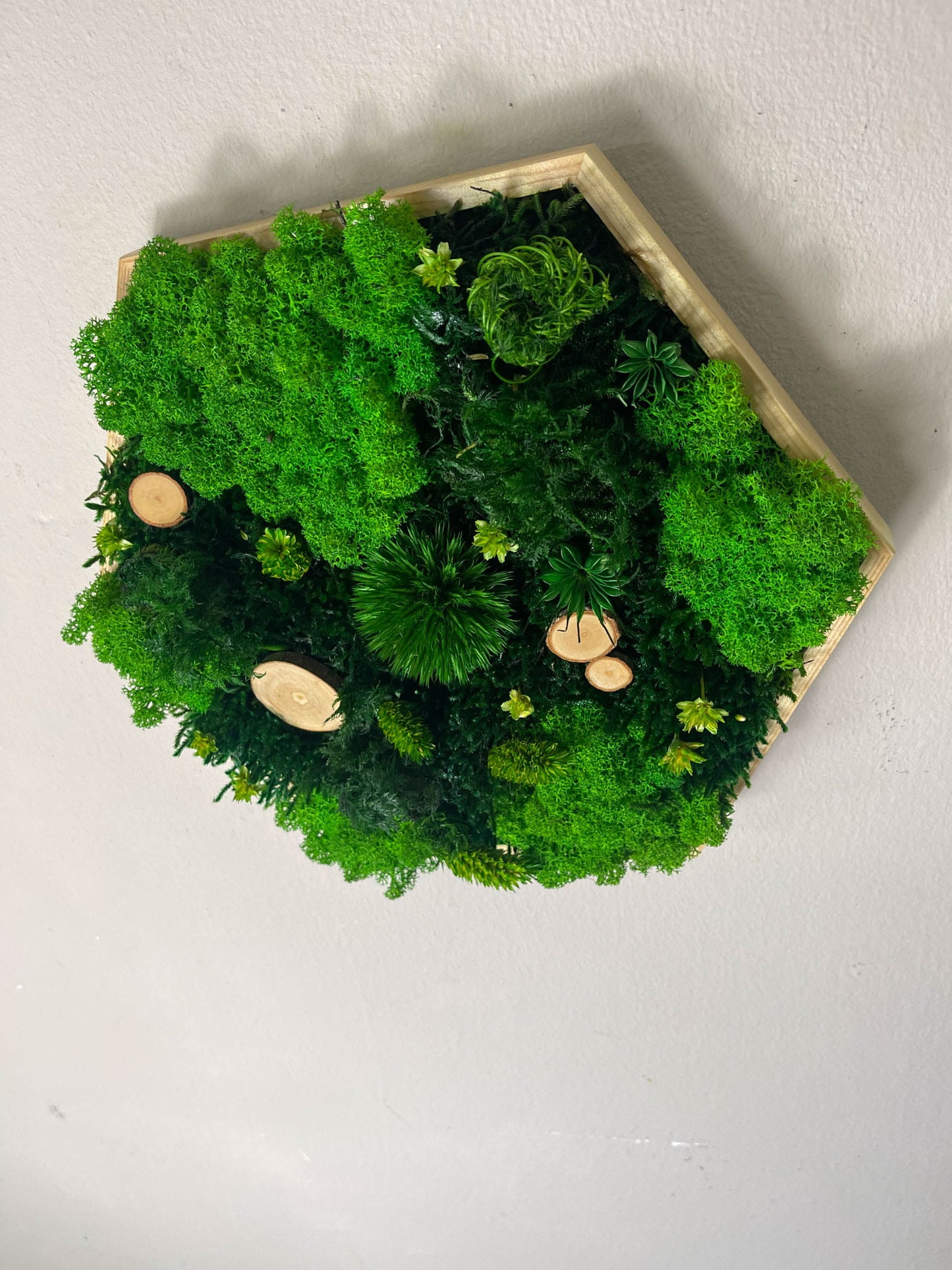 Moosbild
Wanddeko
Naturdeko
Hexagon Moosbild
konserviertes Moos
Islandmoos
Waldmoos
modernes Wohnen
Interior Design
nachhaltige Deko
handgemacht
Handmade
Pflanzenbild
grüne Wanddeko
Naturkunst
Wohnaccessoires
Bürodeko
Wohnzimmer Deko
Hygge Stil
skandinavische Deko