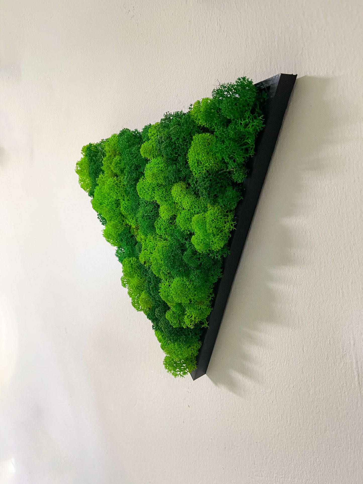 Geschenk Rahmen modern moos Moosbild  Hellgrün Grün Natur  Moobilder Mooswand Pflanzen Pflanzenbild Flachmoos Waldmoos Muttertag Geburtstag Wohnung Wand Deko Dekoration Islandmoos Rentiermoos Dschungel Triangel Dreieck Geometrie Wandpaneele Paneele Efeu Hellgrün Rahmenfarbe 3D Druck