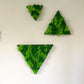 Geschenk Rahmen modern moos Moosbild  Hellgrün Grün Natur  Moobilder Mooswand Pflanzen Pflanzenbild Flachmoos Waldmoos Muttertag Geburtstag Wohnung Wand Deko Dekoration Islandmoos Rentiermoos Dschungel Triangel Dreieck Geometrie Wandpaneele Paneele Efeu Hellgrün Rahmenfarbe Home Office Raum Wandgestaltung Einrichtung Gewerbe 