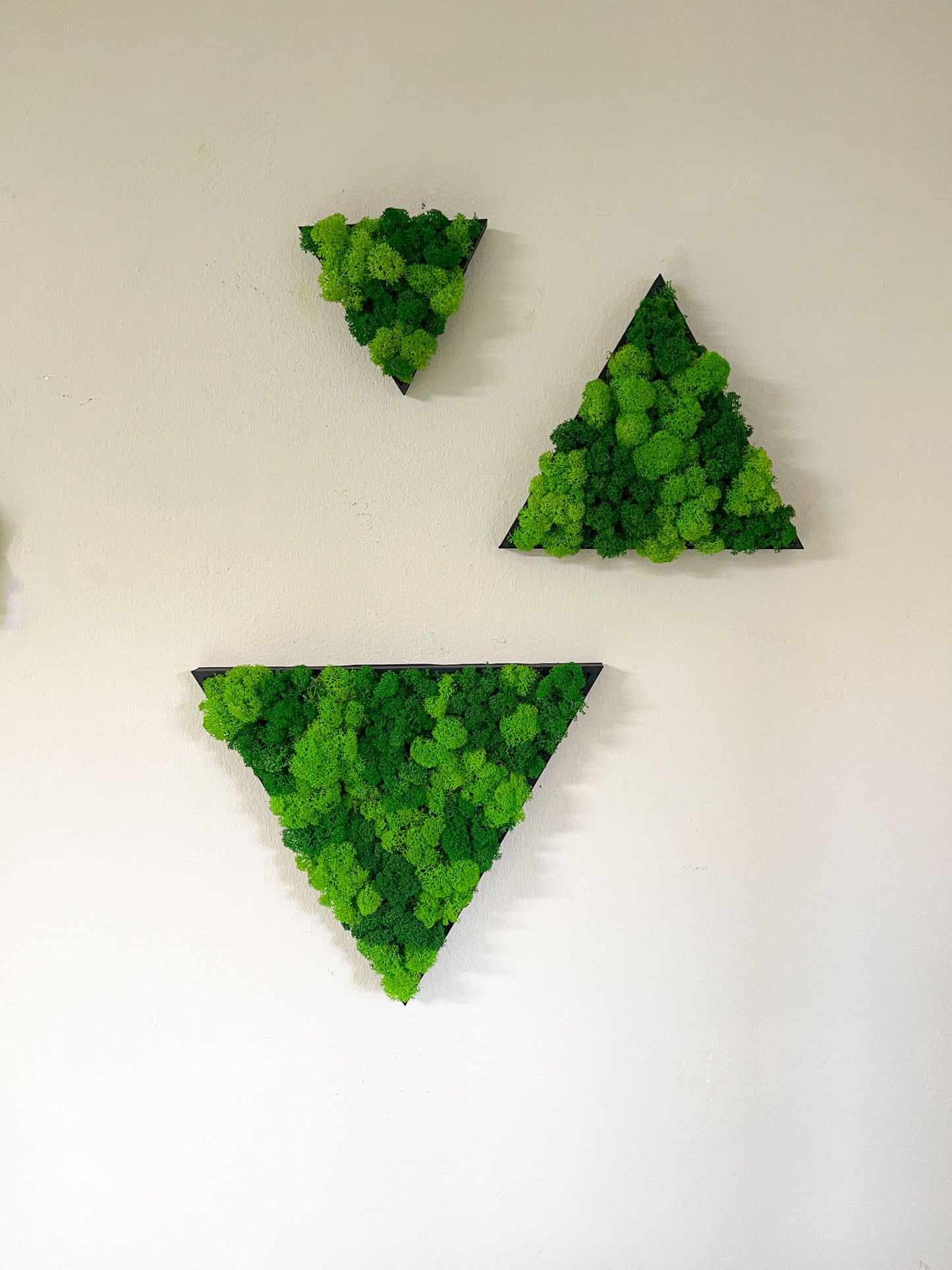 Geschenk Rahmen modern moos Moosbild  Hellgrün Grün Natur  Moobilder Mooswand Pflanzen Pflanzenbild Flachmoos Waldmoos Muttertag Geburtstag Wohnung Wand Deko Dekoration Islandmoos Rentiermoos Dschungel Triangel Dreieck Geometrie Wandpaneele Paneele Efeu Hellgrün Rahmenfarbe Home Office Raum Wandgestaltung Einrichtung Gewerbe 