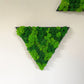 Geschenk Rahmen modern moos Moosbild  Hellgrün Grün Natur  Moobilder Mooswand Pflanzen Pflanzenbild Flachmoos Waldmoos Muttertag Geburtstag Wohnung Wand Deko Dekoration Islandmoos Rentiermoos Dschungel Triangel Dreieck Geometrie Wandpaneele Paneele Efeu Hellgrün Rahmenfarbe Laden Einrichtung Gewerbe zu Hause