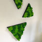 Geschenk Rahmen modern moos Moosbild  Hellgrün Grün Natur  Moobilder Mooswand Pflanzen Pflanzenbild Flachmoos Waldmoos Muttertag Geburtstag Wohnung Wand Deko Dekoration Islandmoos Rentiermoos Dschungel Triangel Dreieck Geometrie Wandpaneele Paneele Efeu Hellgrün Rahmenfarbe Hellgrün Naturgrün